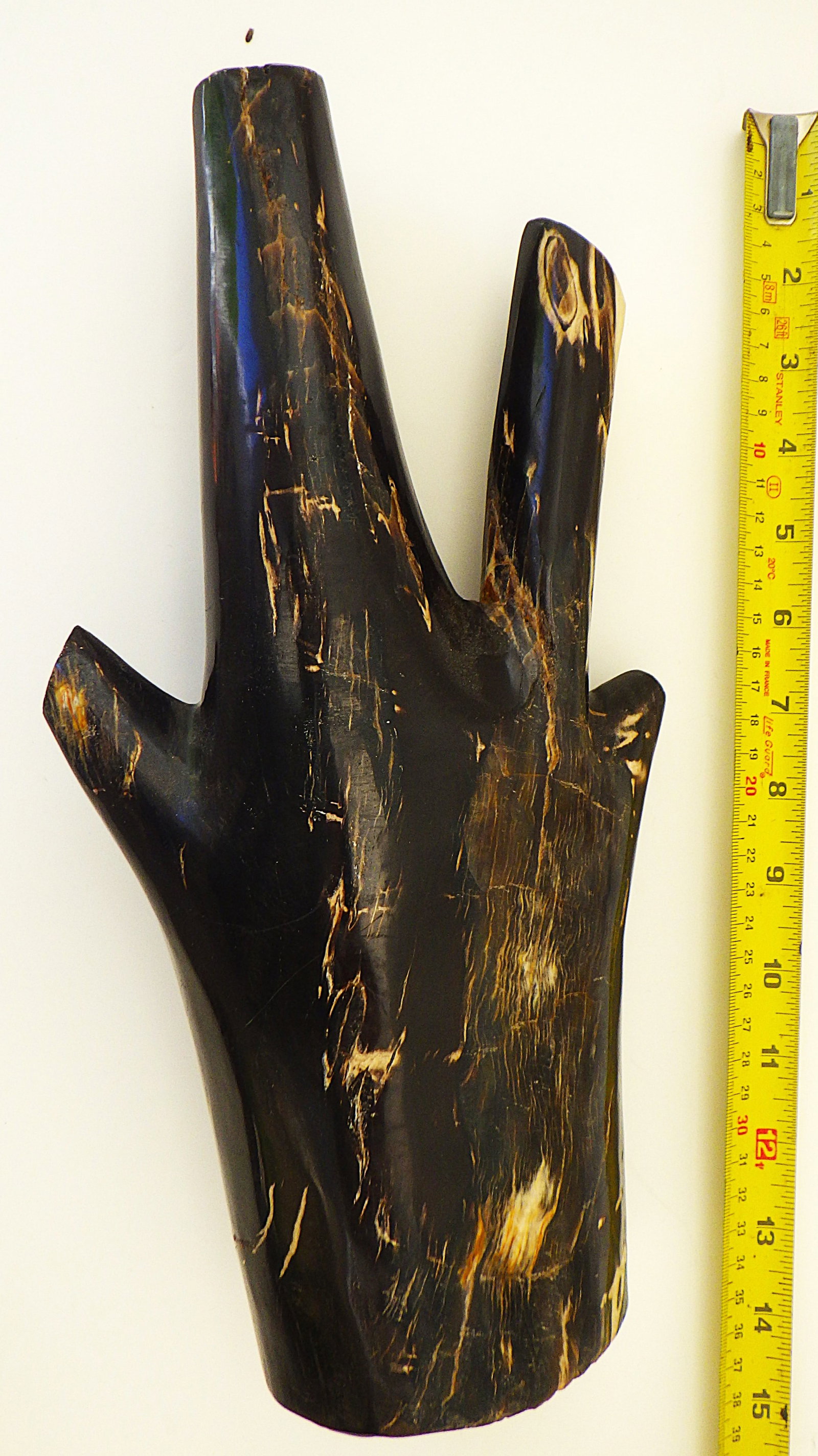 Fossil wood branch 35 cm from Indonesia 20 million years old. - 2
