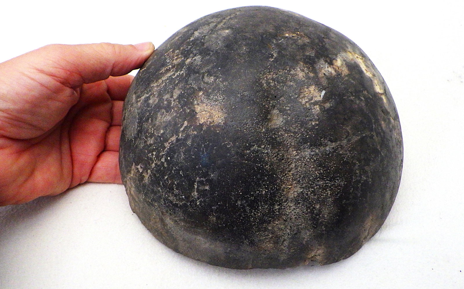 Fossil extinct elephant bone from Greece (1 of 6)