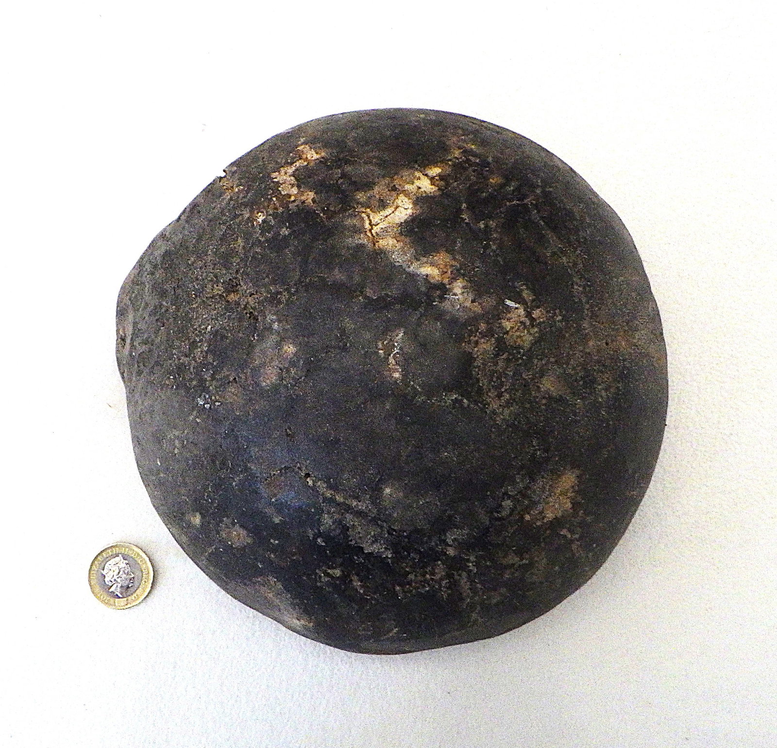 Fossil extinct elephant bone from Greece - 2