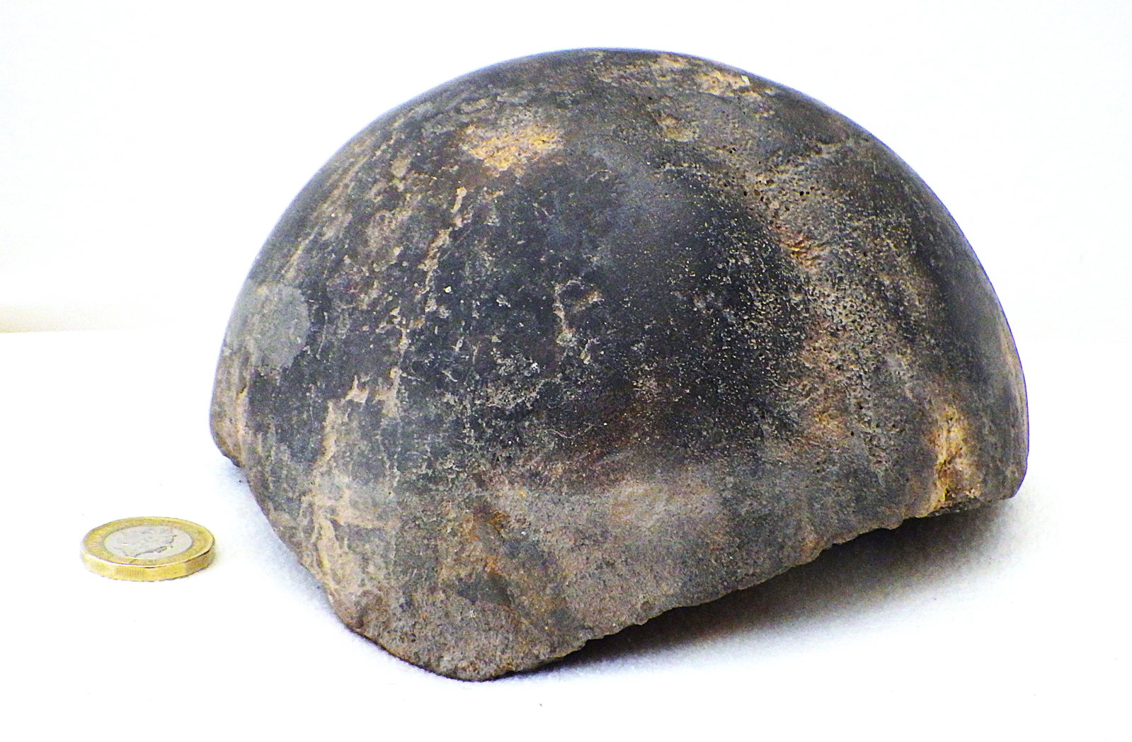 Fossil extinct elephant bone from Greece - 3