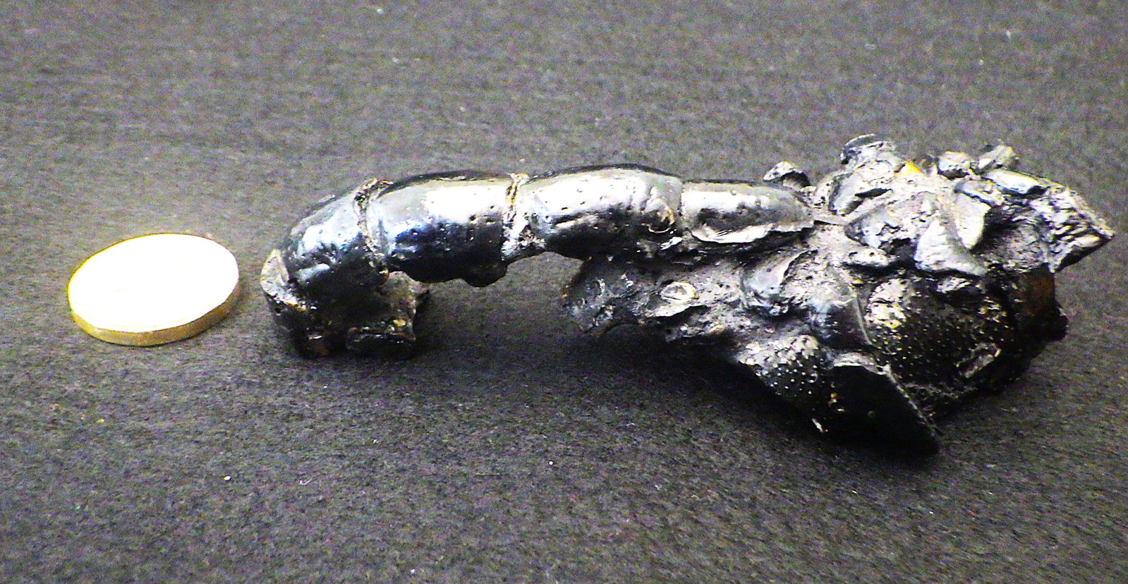 Fossil lobster from Australia - 2