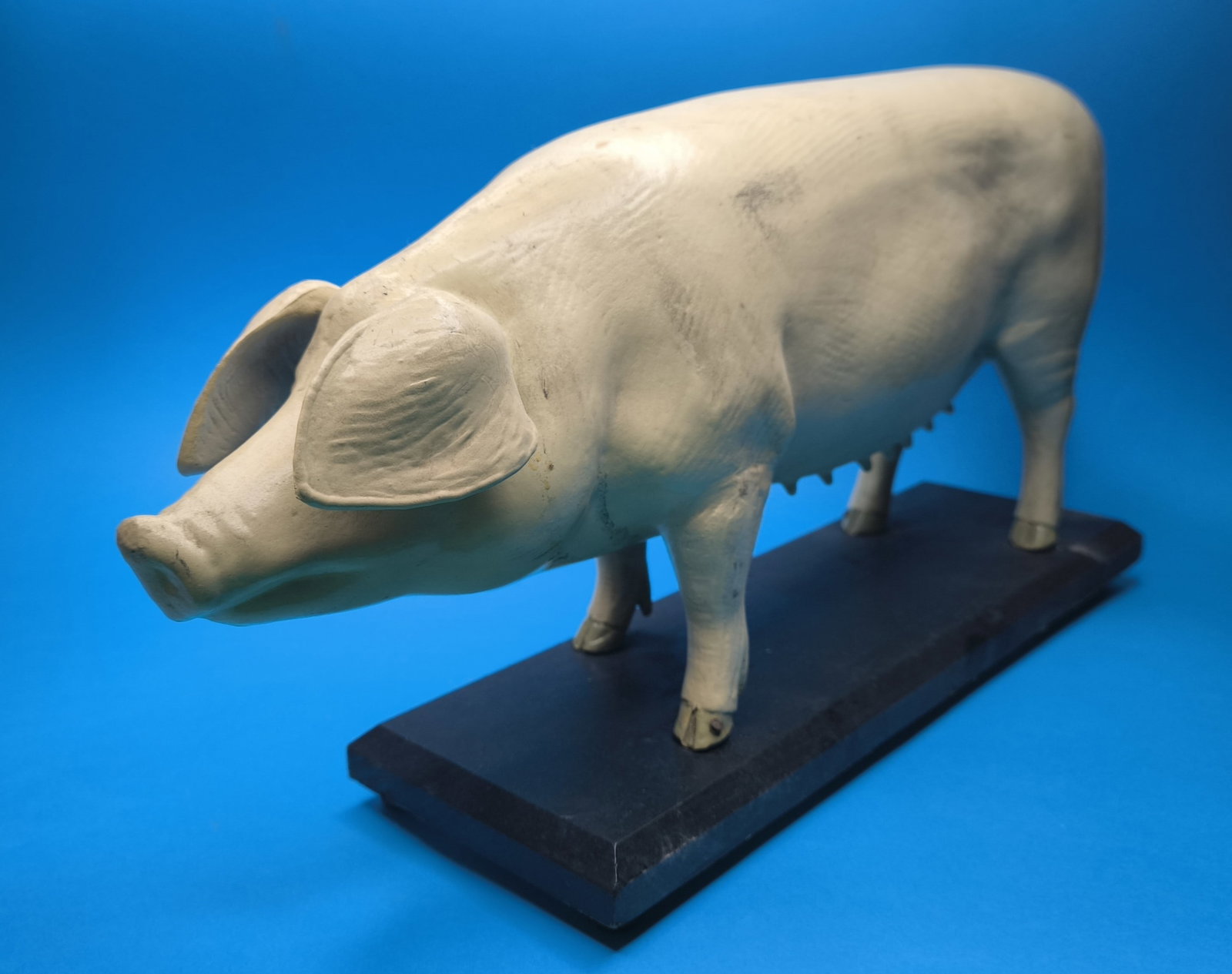 A German painted papier mache didactic model of a pig, first half 20th century: Title: A German painted papier mache didactic model of a pig, first half 20th century Description: A German painted papier mache didactic model of a pig, first half 20th century Estimate:50