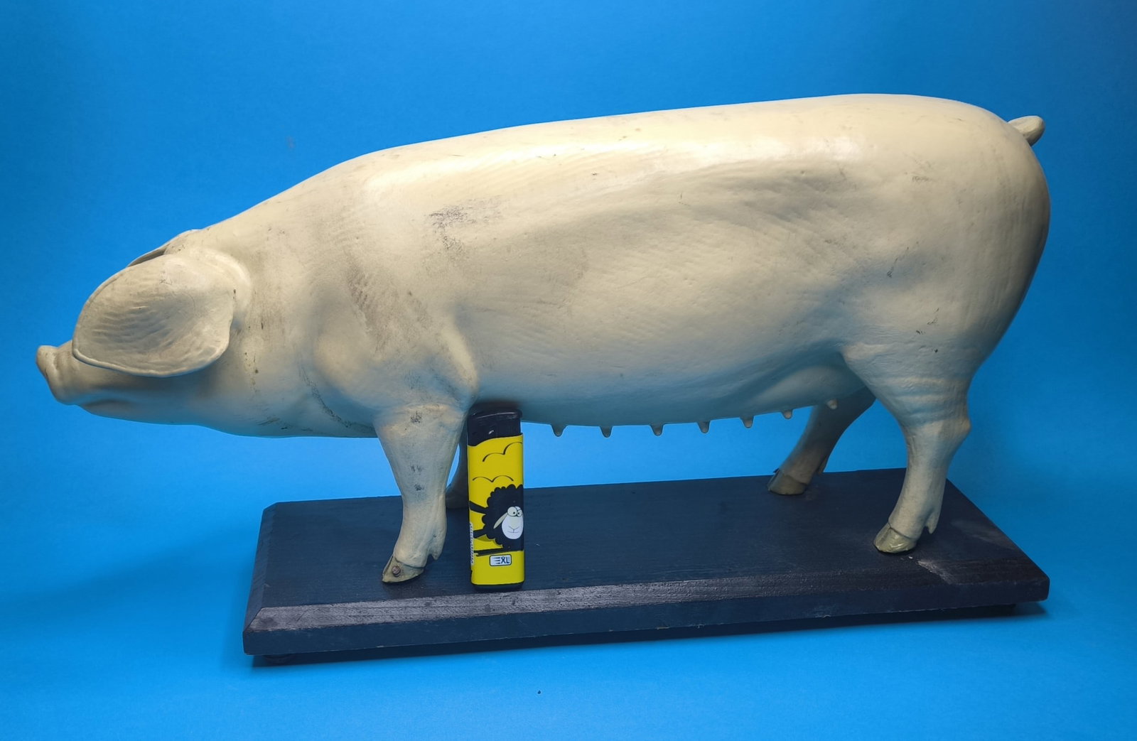 A German painted papier mache didactic model of a pig, first half 20th century - 3