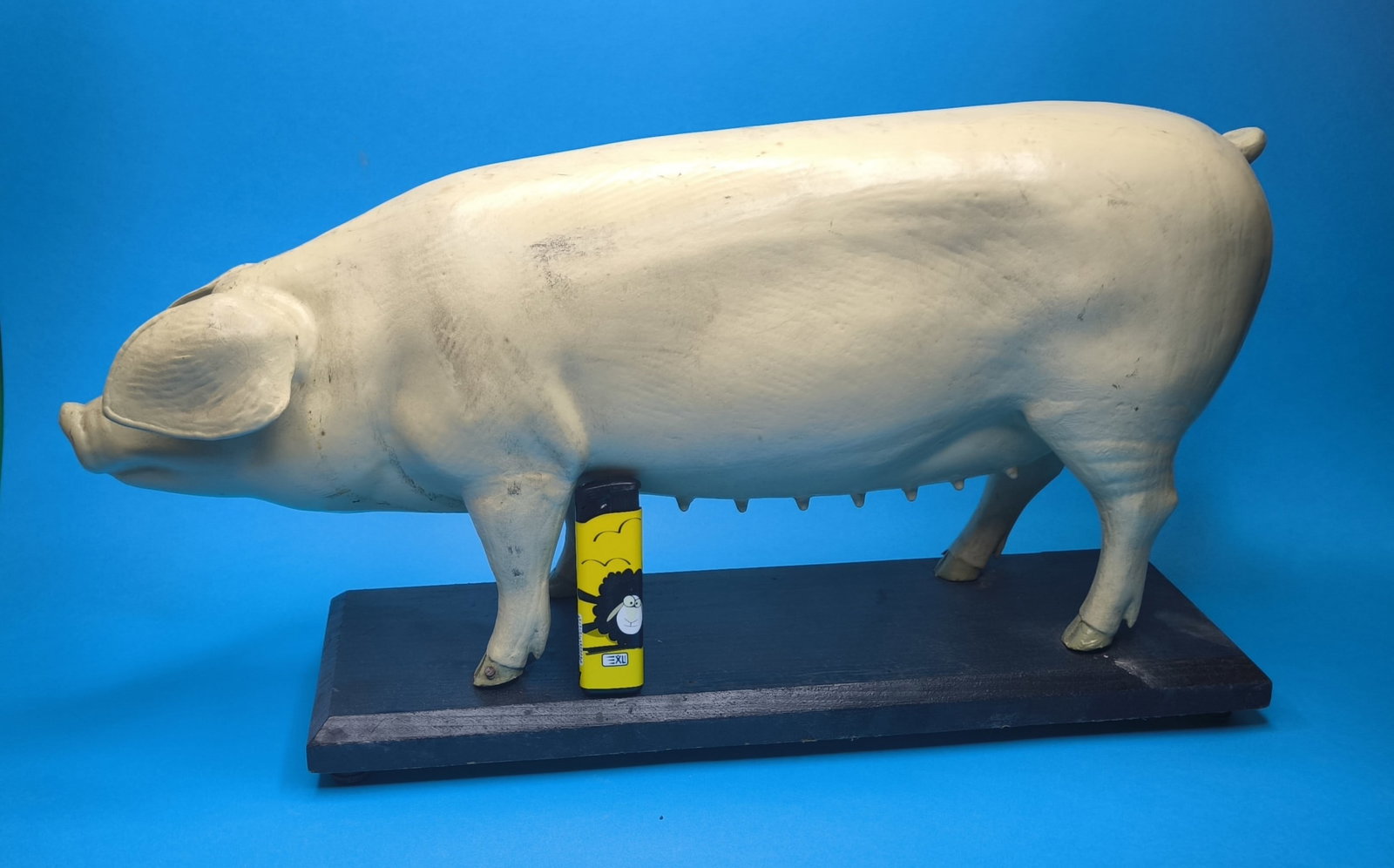 A German painted papier mache didactic model of a pig, first half 20th century - 4