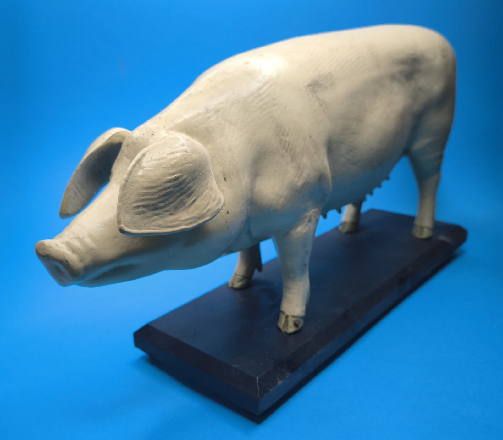 A German painted papier mache didactic model of a pig, first half 20th century - 5