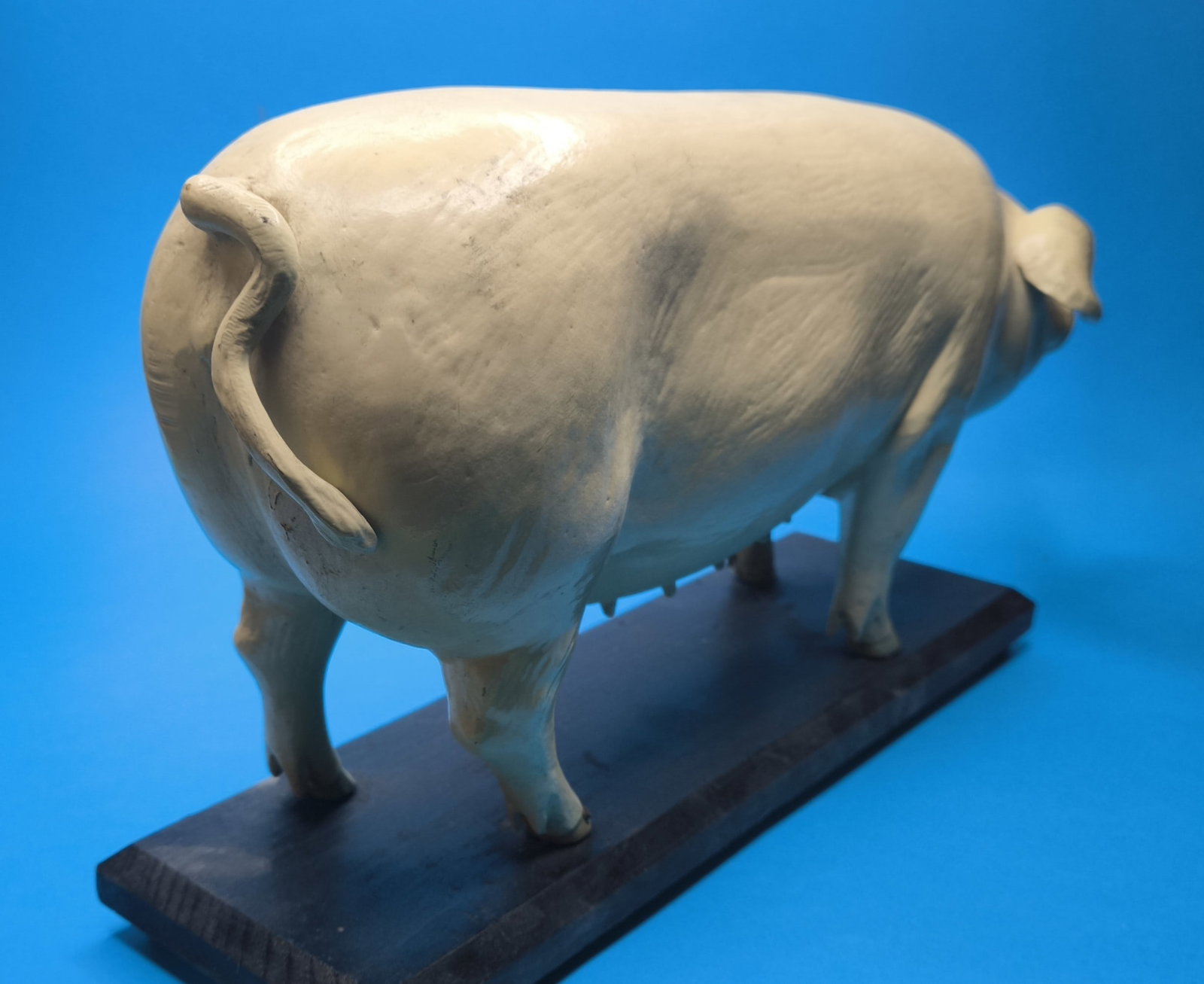 A German painted papier mache didactic model of a pig, first half 20th century - 6