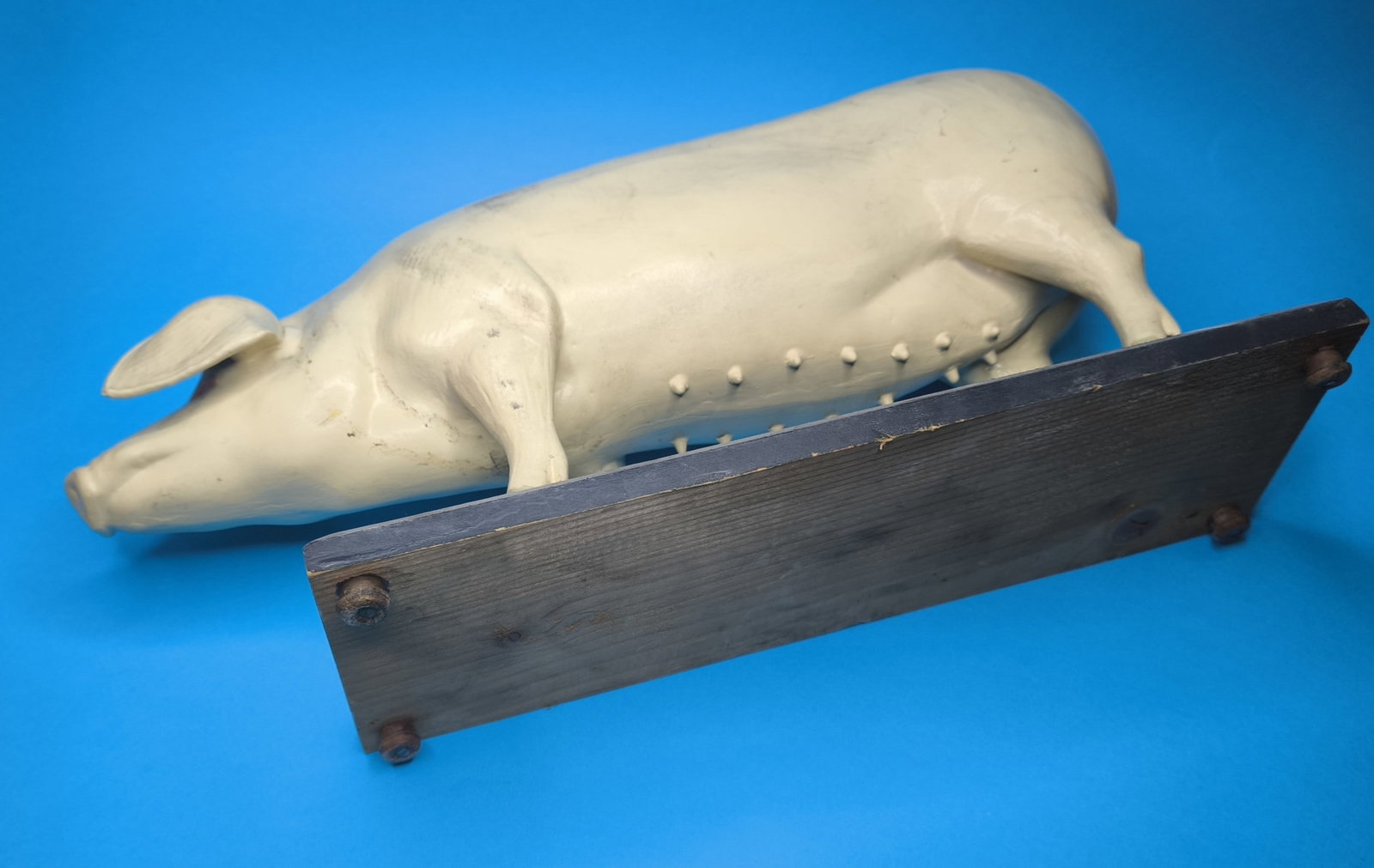 A German painted papier mache didactic model of a pig, first half 20th century - 8