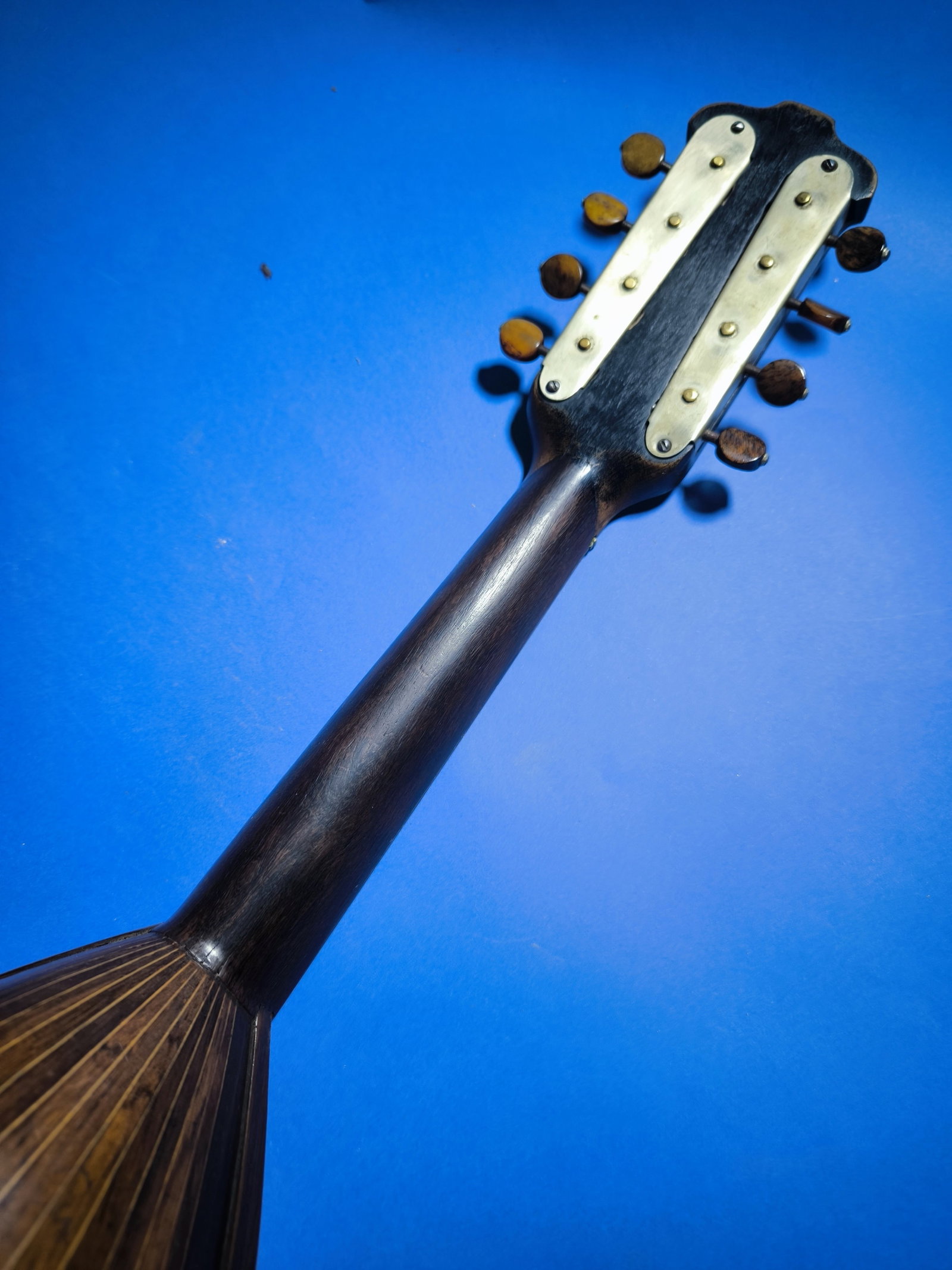 Antique Rare Mandoline Mandolin L. Romito & Carbone 1905 with Gold Medal - 10