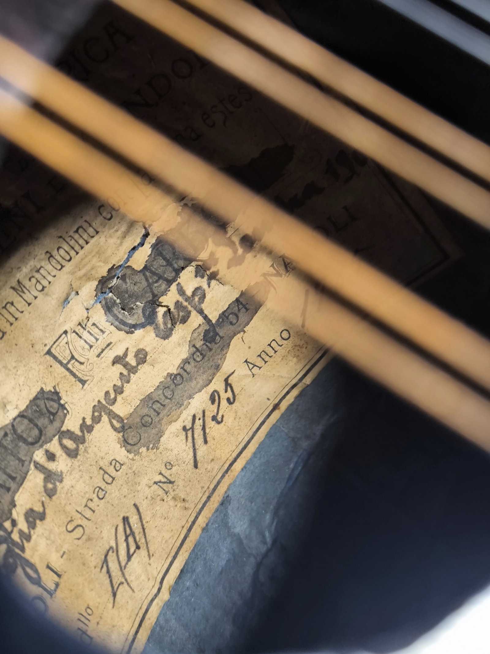 Antique Rare Mandoline Mandolin L. Romito & Carbone 1905 with Gold Medal - 3
