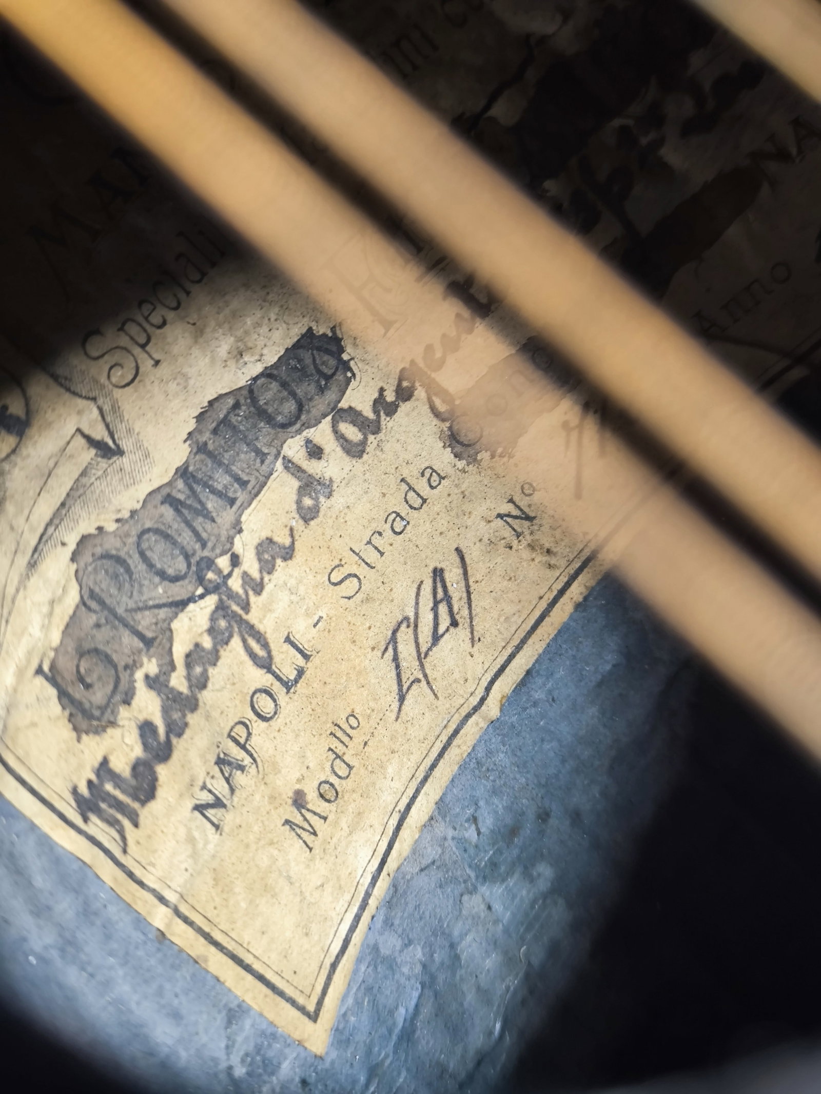 Antique Rare Mandoline Mandolin L. Romito & Carbone 1905 with Gold Medal - 4