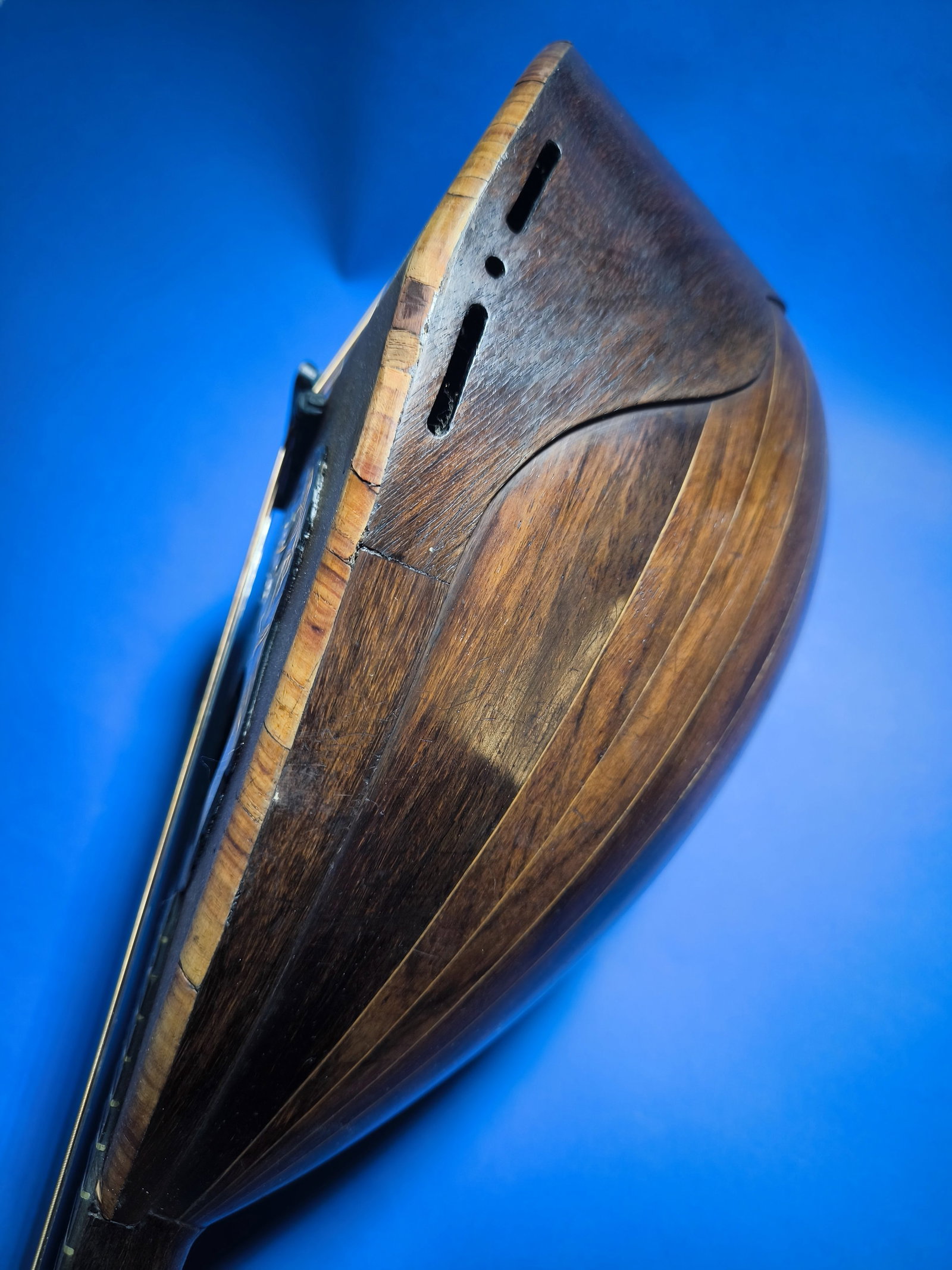 Antique Rare Mandoline Mandolin L. Romito & Carbone 1905 with Gold Medal - 7