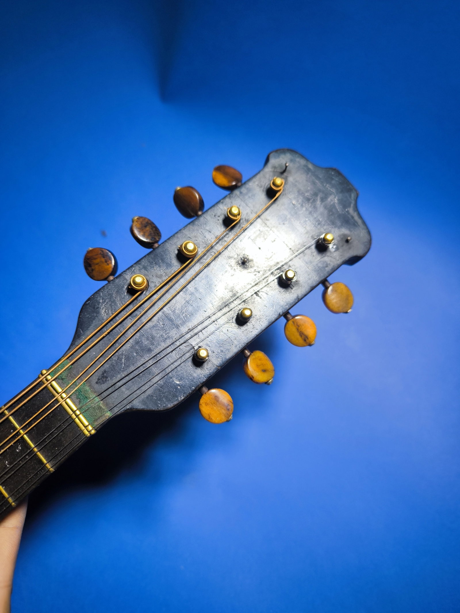 Antique Rare Mandoline Mandolin L. Romito & Carbone 1905 with Gold Medal - 8