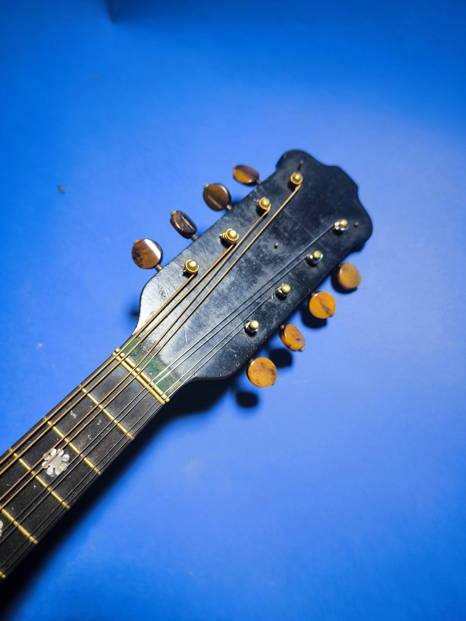Antique Rare Mandoline Mandolin L. Romito & Carbone 1905 with Gold Medal - 9