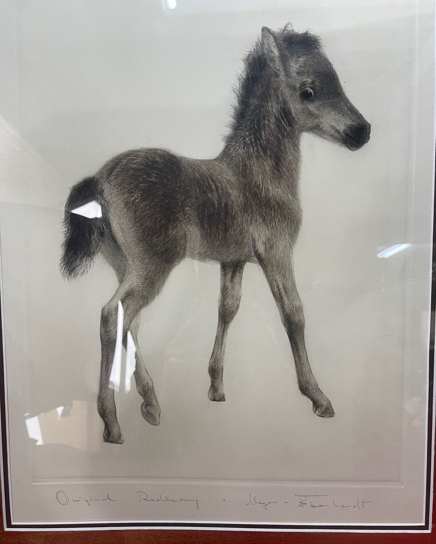 Title: Drypoint by Kurt Meyer-Eberhardt (German, 1895-1977) Description: Original Drypoint of a Foal - 2