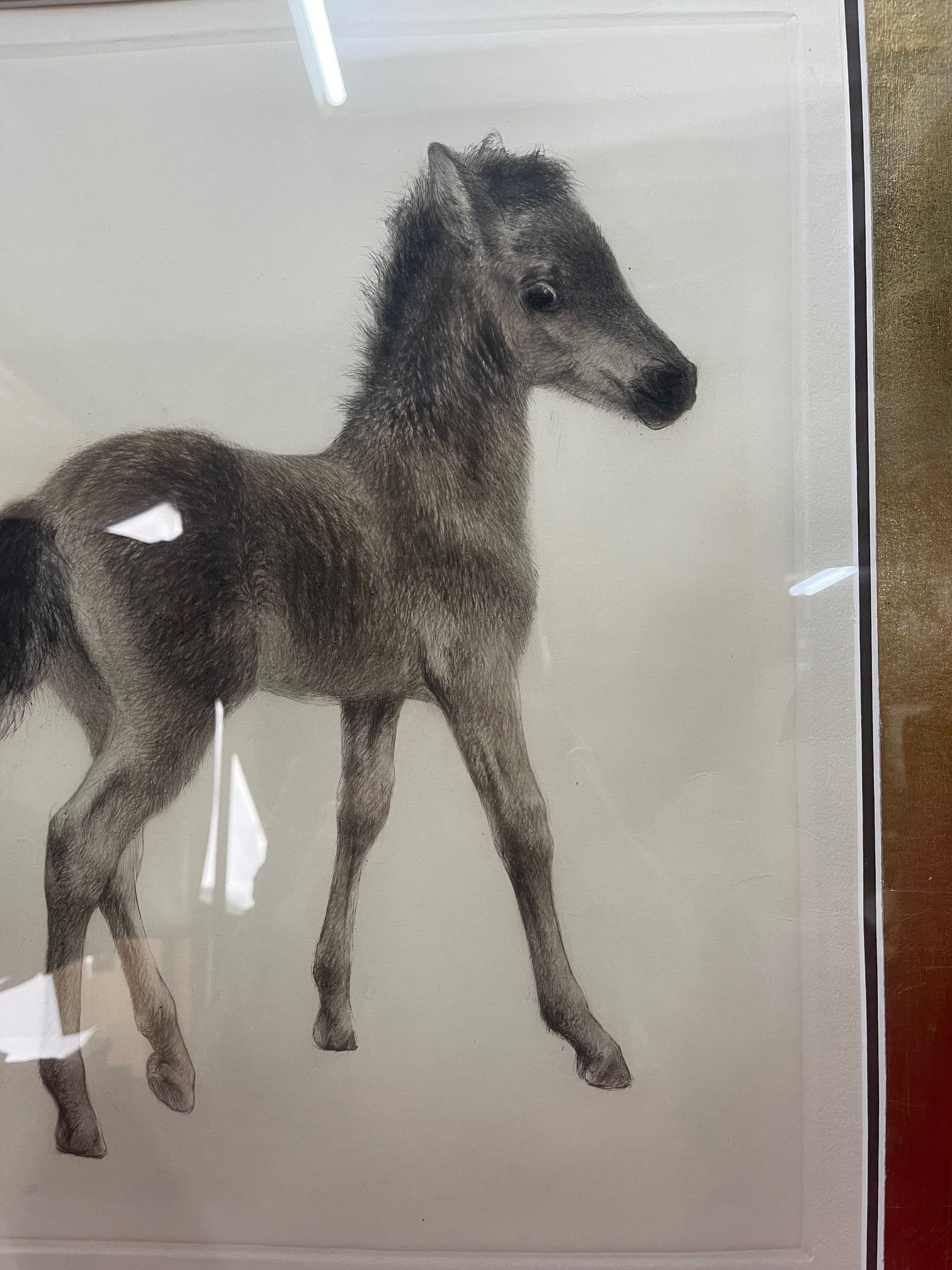 Title: Drypoint by Kurt Meyer-Eberhardt (German, 1895-1977) Description: Original Drypoint of a Foal - 4