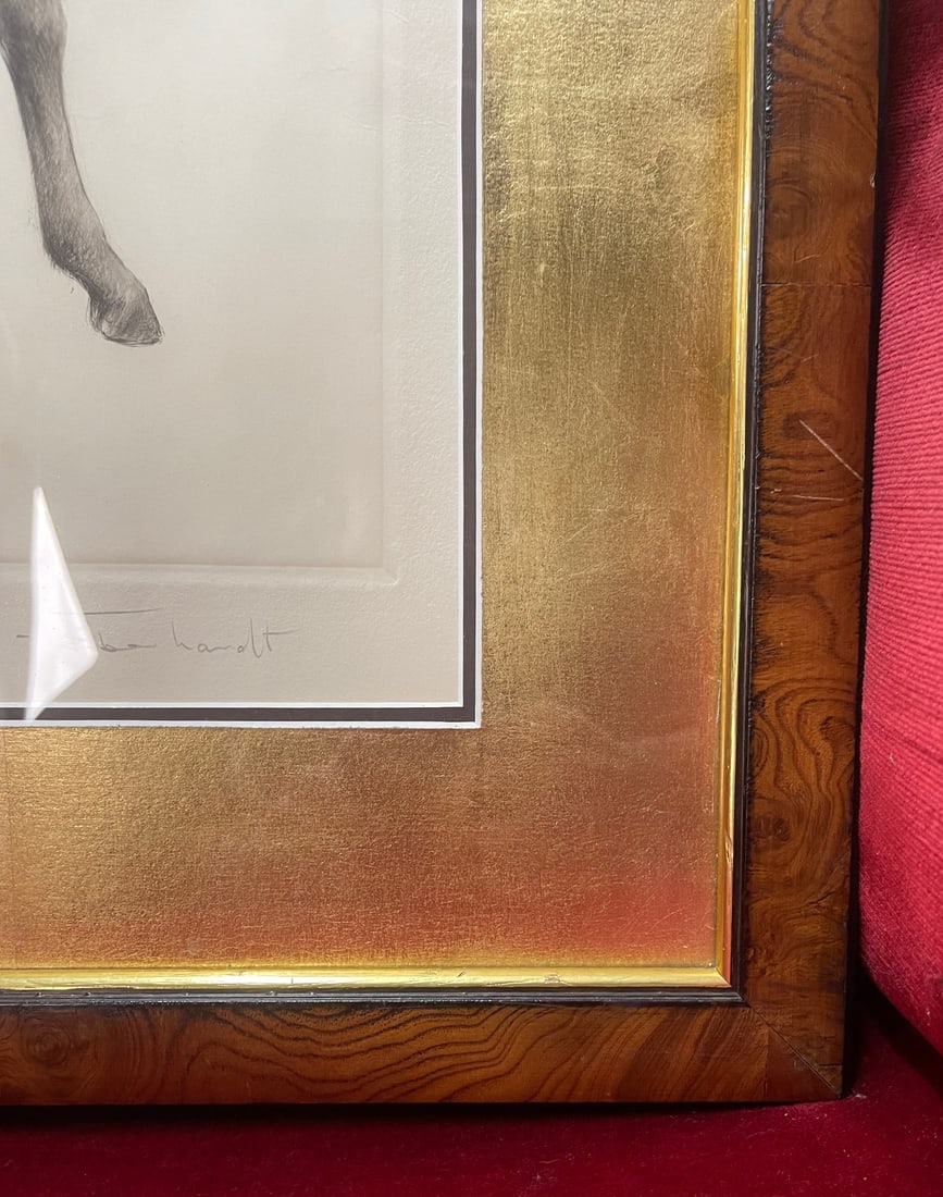 Title: Drypoint by Kurt Meyer-Eberhardt (German, 1895-1977) Description: Original Drypoint of a Foal - 5