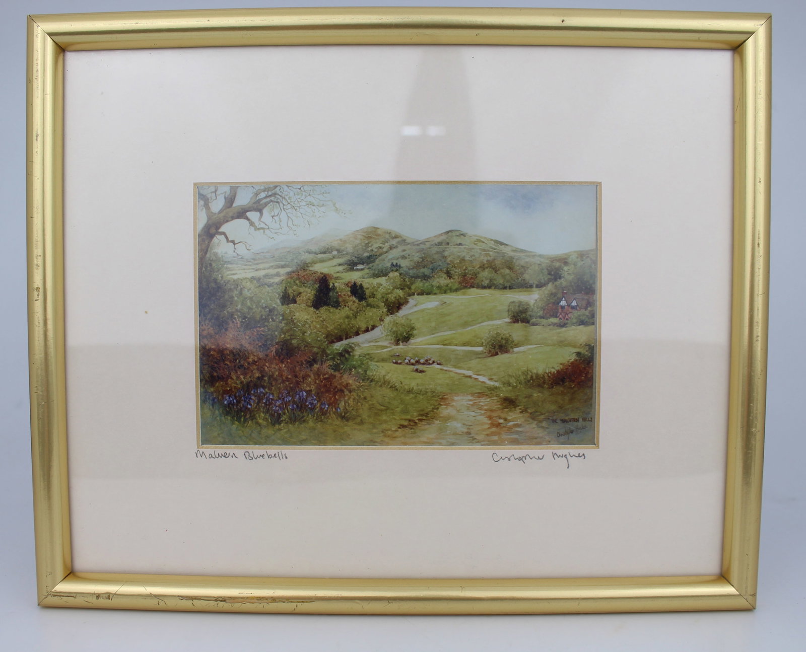 Title: Pair of Limited Edition Framed Worcester Prints Description: Pair of Limited Edition Framed (1 of 6)