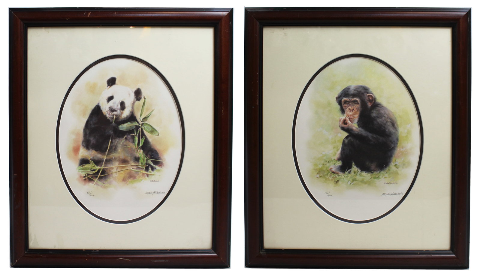 Title: Pair of May Shepherd Animal Prints Description: Pair of May Shepherd Animal Prints Pair of (1 of 7)