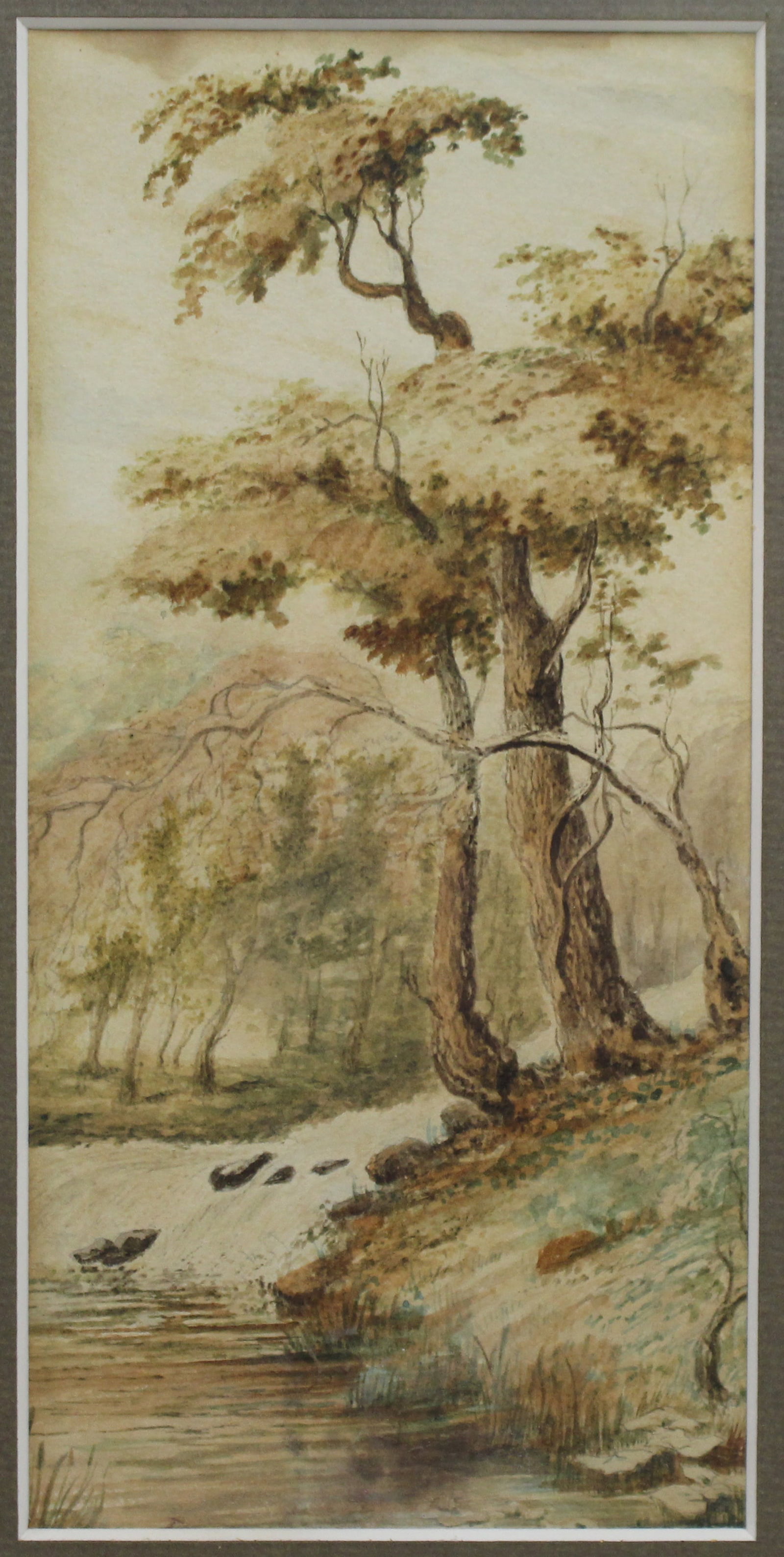 Title: Early 20th Century Watercolour – Tree by River Bank Description: Early 20th Century - 2
