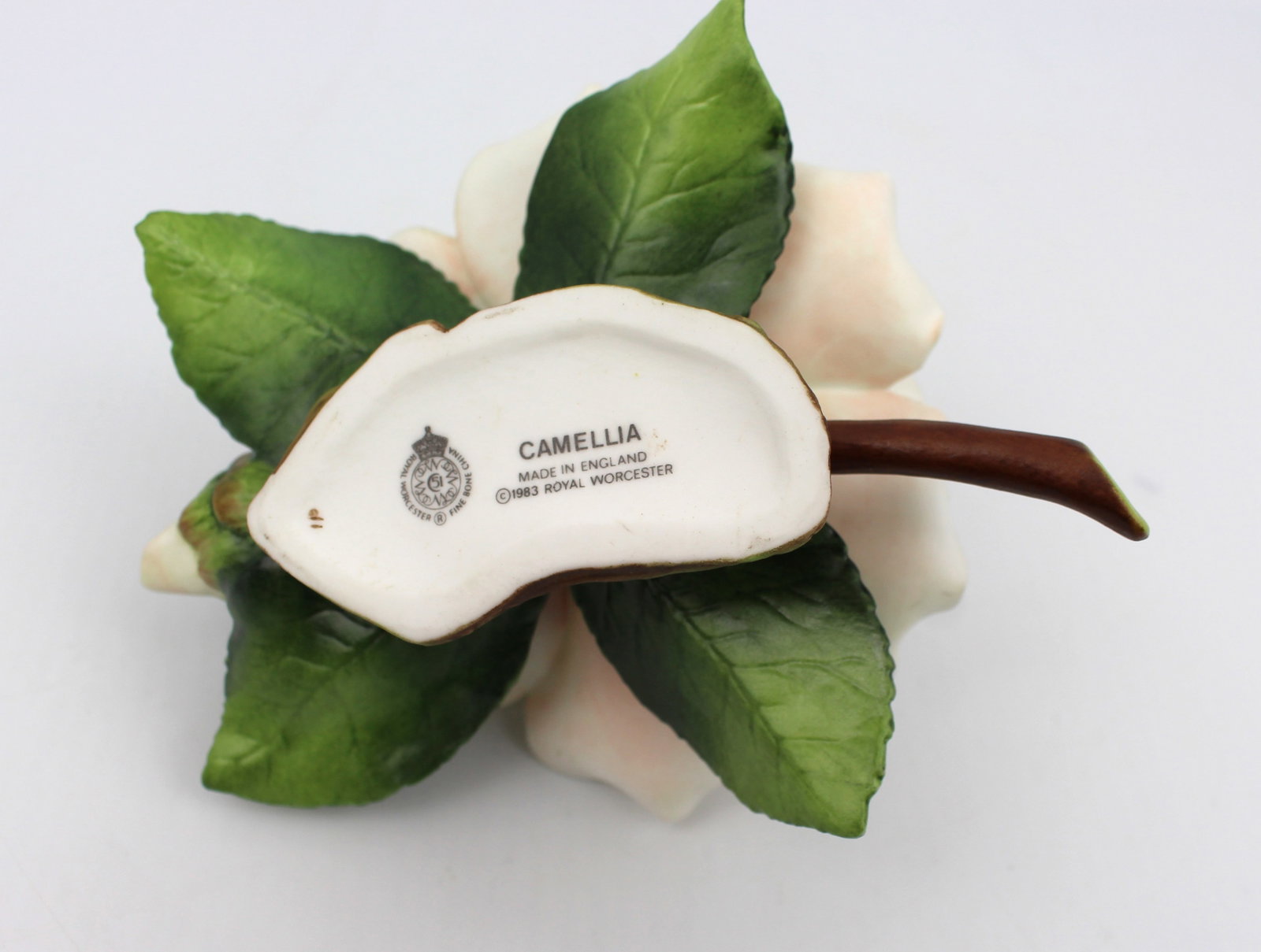 Title: Royal Worcester Flower Camellia Description: Royal Worcester Flower Camellia Vintage Royal - 4