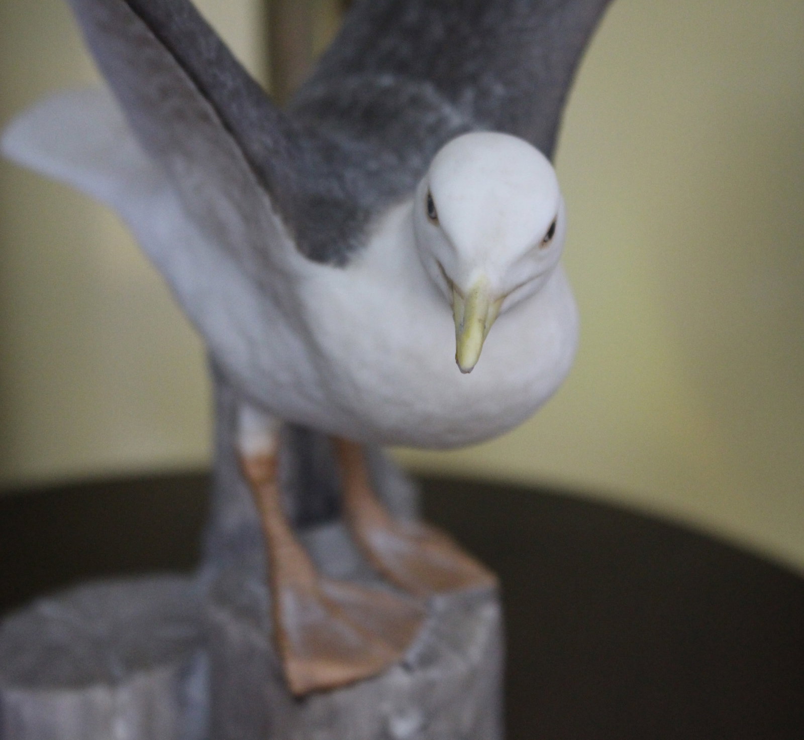 Title: Franklin Porcelain The Great Black-Backed Gull Description: Franklin Porcelain The Great - 3