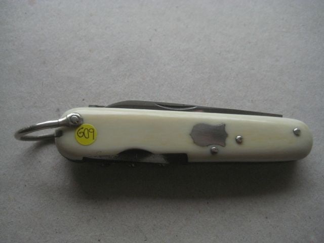 Victorian Cased Bone Hafted Multi-Bladed Penknife - 13