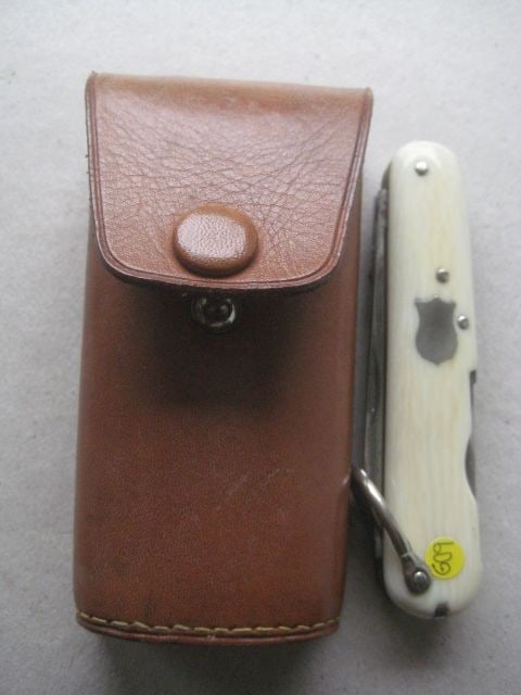Victorian Cased Bone Hafted Multi-Bladed Penknife - 16
