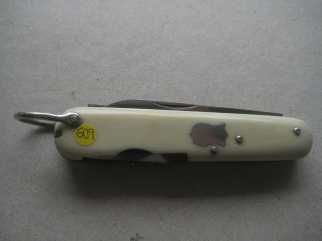 Victorian Cased Bone Hafted Multi-Bladed Penknife - 2