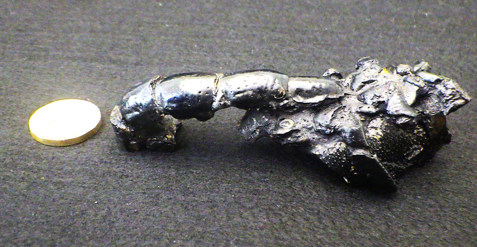 Fossil Lobster From Australia - 2