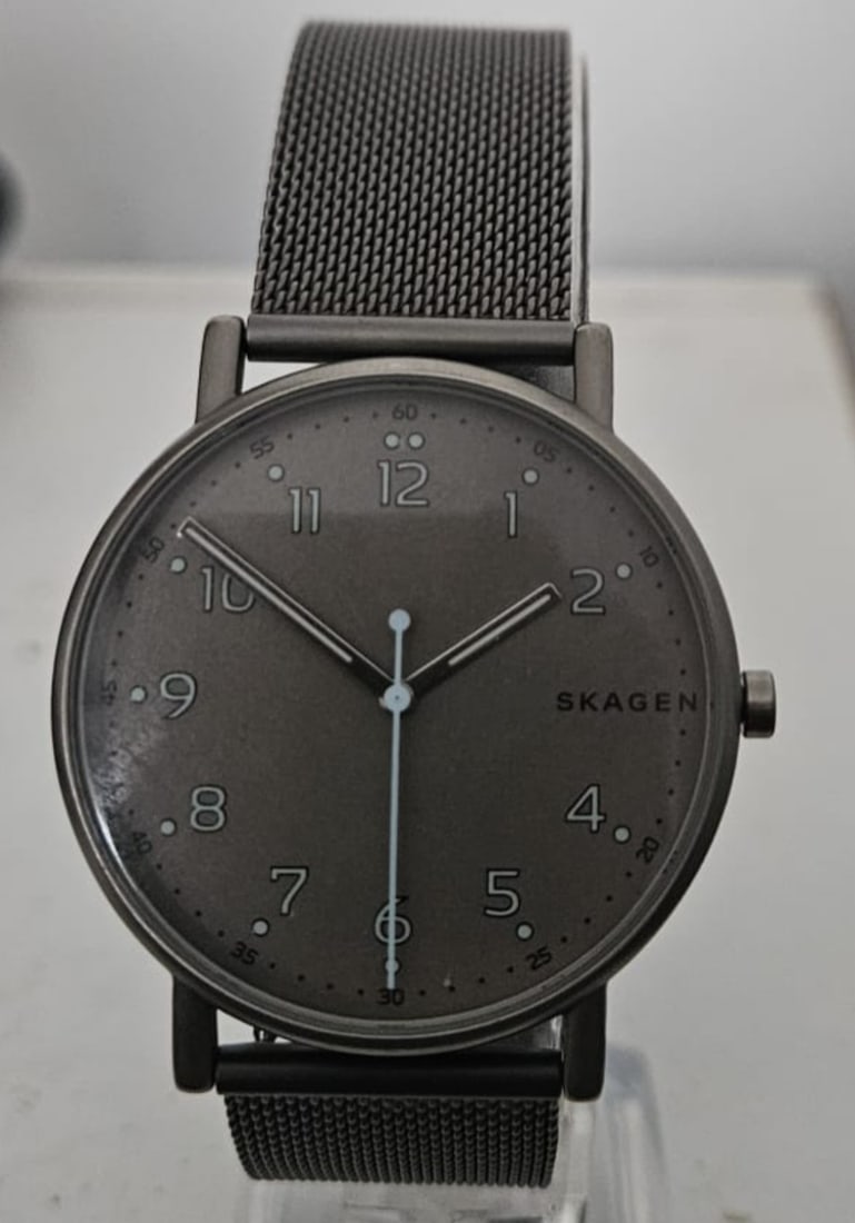 Skagen Signatur SKW6354 – Gray Titanium Mesh Watch: Title: Skagen Signatur SKW6354 – Gray Titanium Mesh Watch Description: An authentic Skagen Signatur (Ref. SKW6354, as engraved on the case back) in a sleek gunmetal-gray titanium finish. 
