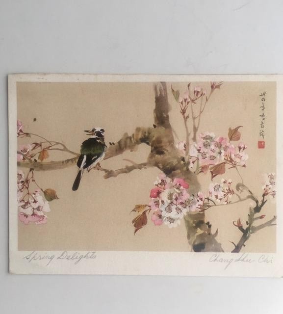 1938 Japan Blossom 'Spring Delights' By 'Chang Luc-Chi', Note Card With Dedication: Title: 1938 Japan Blossom 'Spring Delights' By 'Chang Luc-Chi', Note Card With Dedication Description: 1938 Japanese spring Blossom 'Spring Delights' by 'Chang Luc-Chi', Note card with dedication