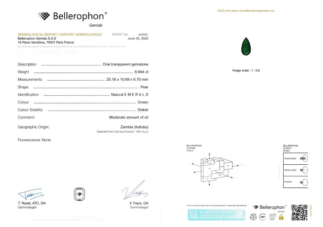 Loose Emerald - 8.94 ct - Bellerophon Gemlab Description: Report Nr. B48581 - 4