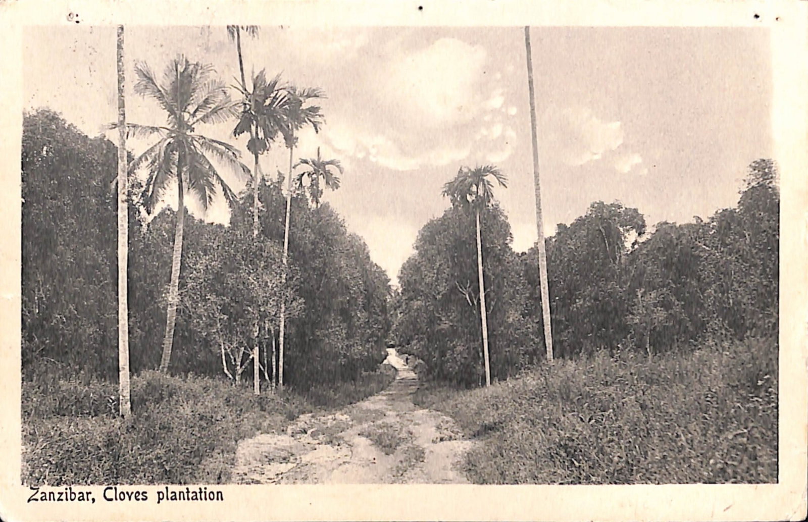 Title: India - World War One 1916 (Apr 9) Description: Stampless picture postcard of Zanzibar, - 2