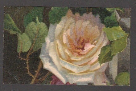 Title: G.B - Air Mails 1905 (July 12) Description: Beckenham Flower Show postcard with printed - 2