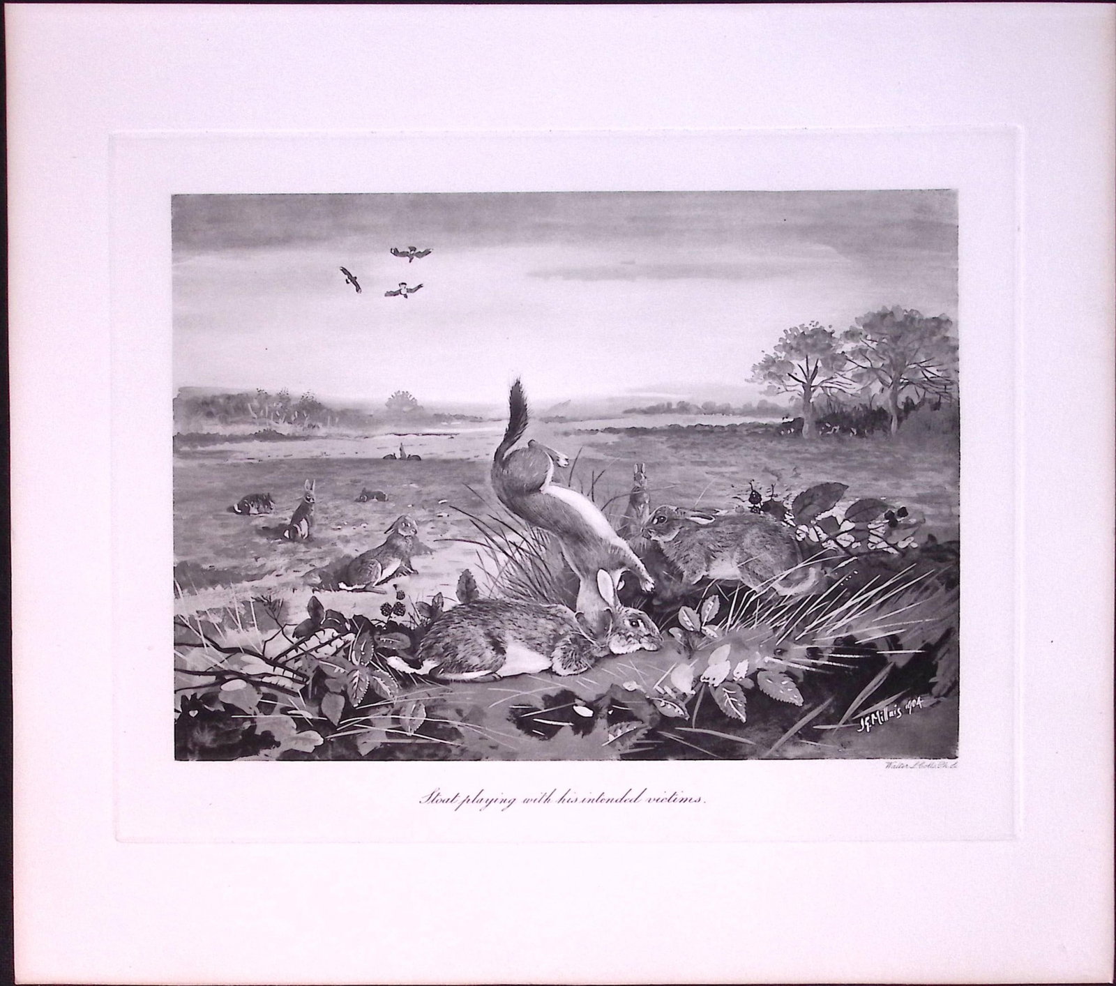 Job-Lot J.G. Millais Rare Limited-Edition Stoats & Badgers Antique Prints-20 - 3