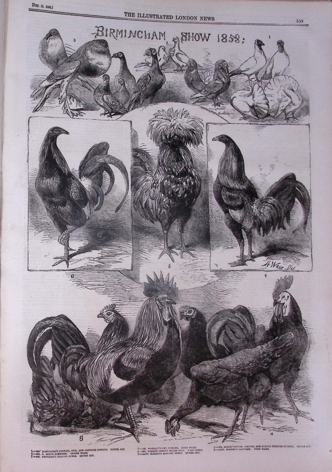 The Illustrated London News Antique Bound Edition July-Dec 1858 Over 600 Pages. - 3