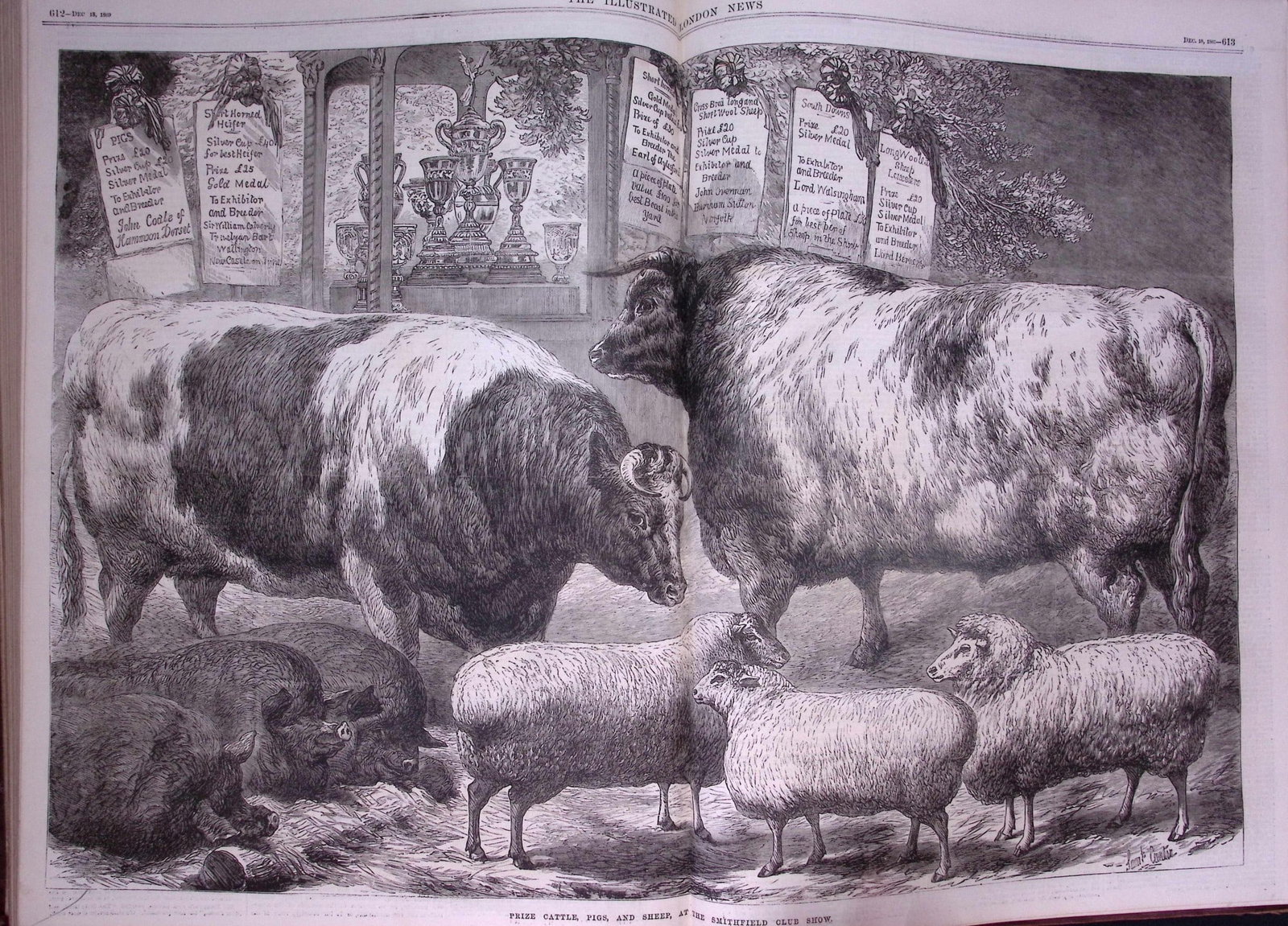 The Illustrated London News Antique Bound Edition July-Dec 1869 Over 650 Pages. - 6