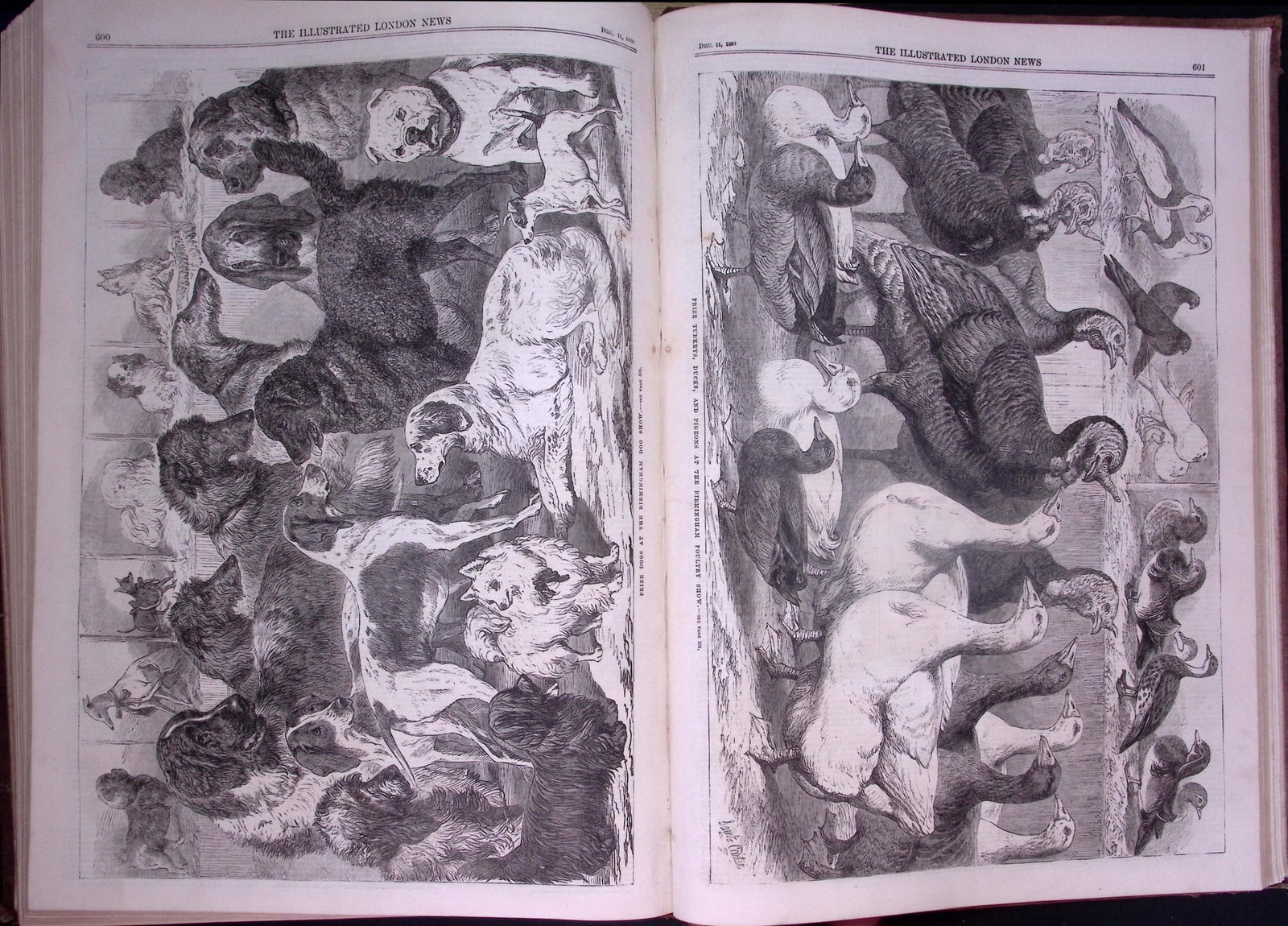 The Illustrated London News Antique Bound Edition July-Dec 1869 Over 650 Pages. - 8