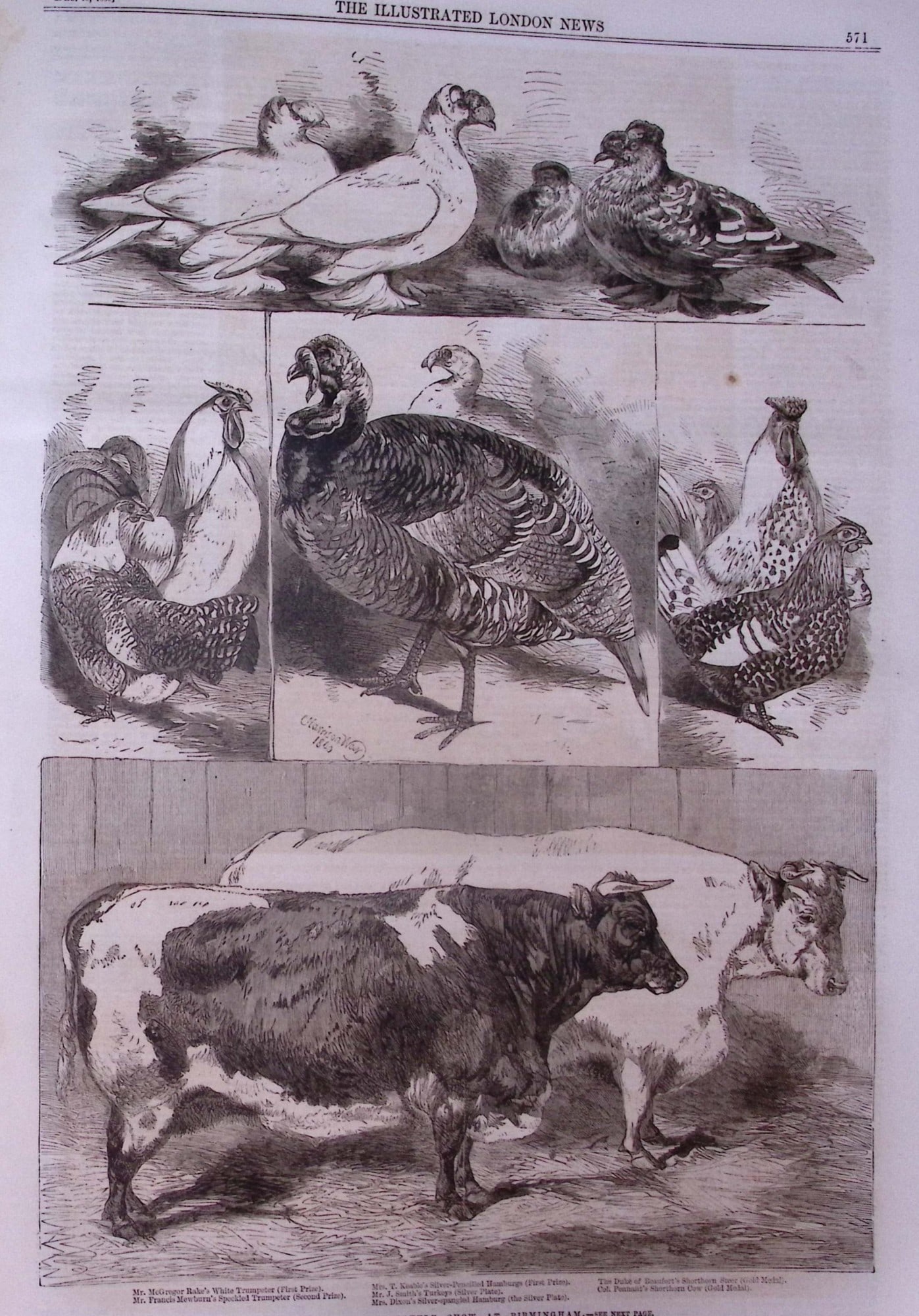 The Illustrated London News Antique Bound Edition July-Dec 1860 Over 600 Pages. - 17