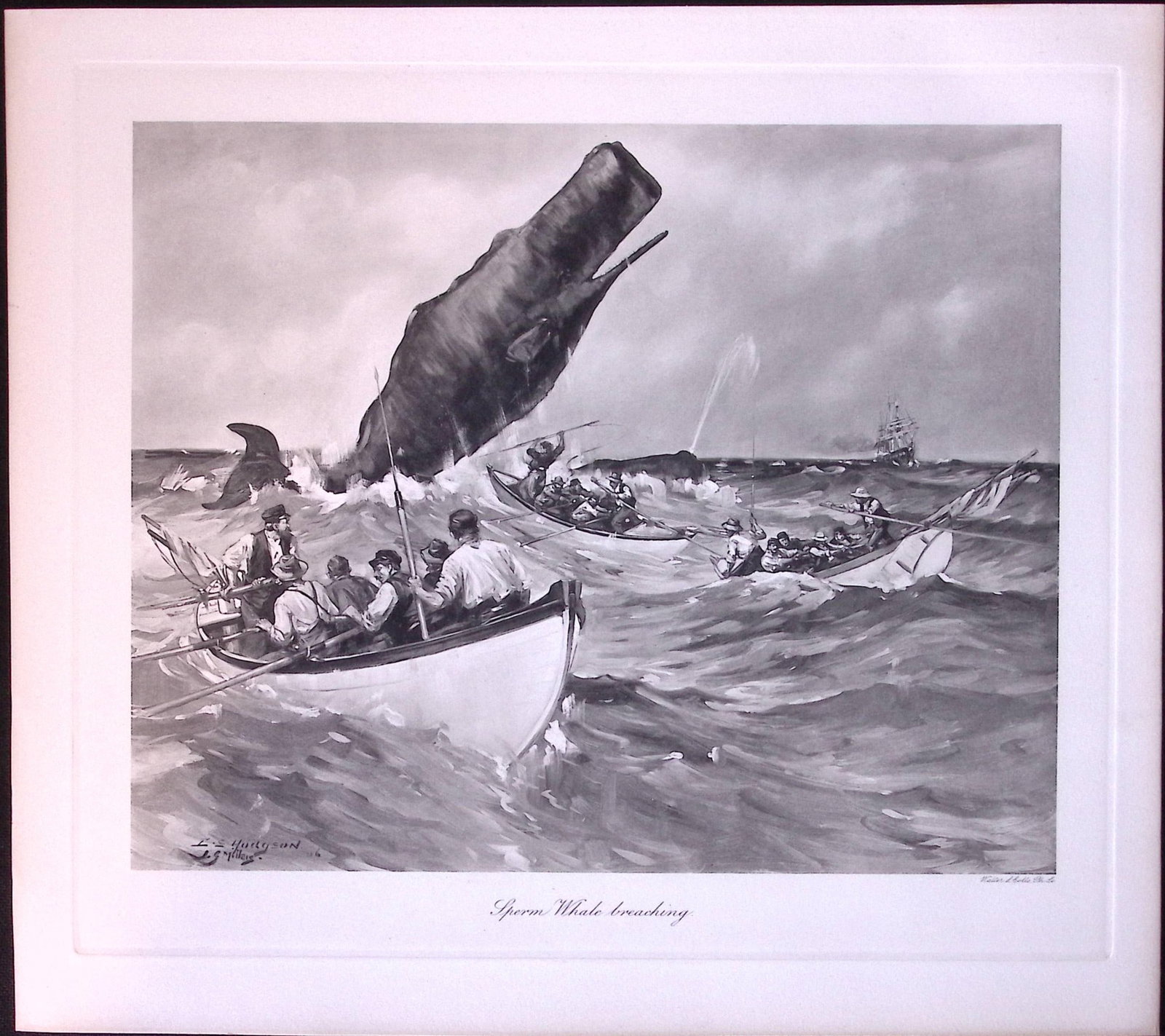 Job-Lot J.G. Millais Rare Limited-Edition Whales Family Species Antique Prints-7. - 4