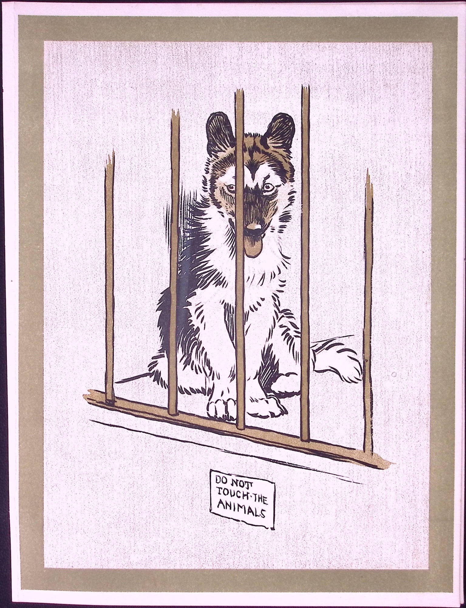 Cecil Aldin Antique Zoo Babies Scarce Illustration “Esquimaux Puppy”-19 (1 of 2)