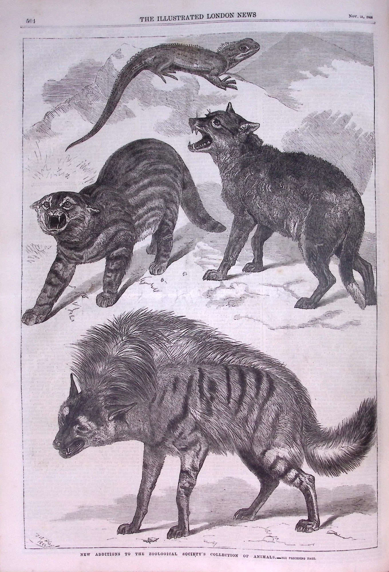 The Illustrated London News Antique Bound Edition July-Dec 1868 Over 600 Pages. - 16