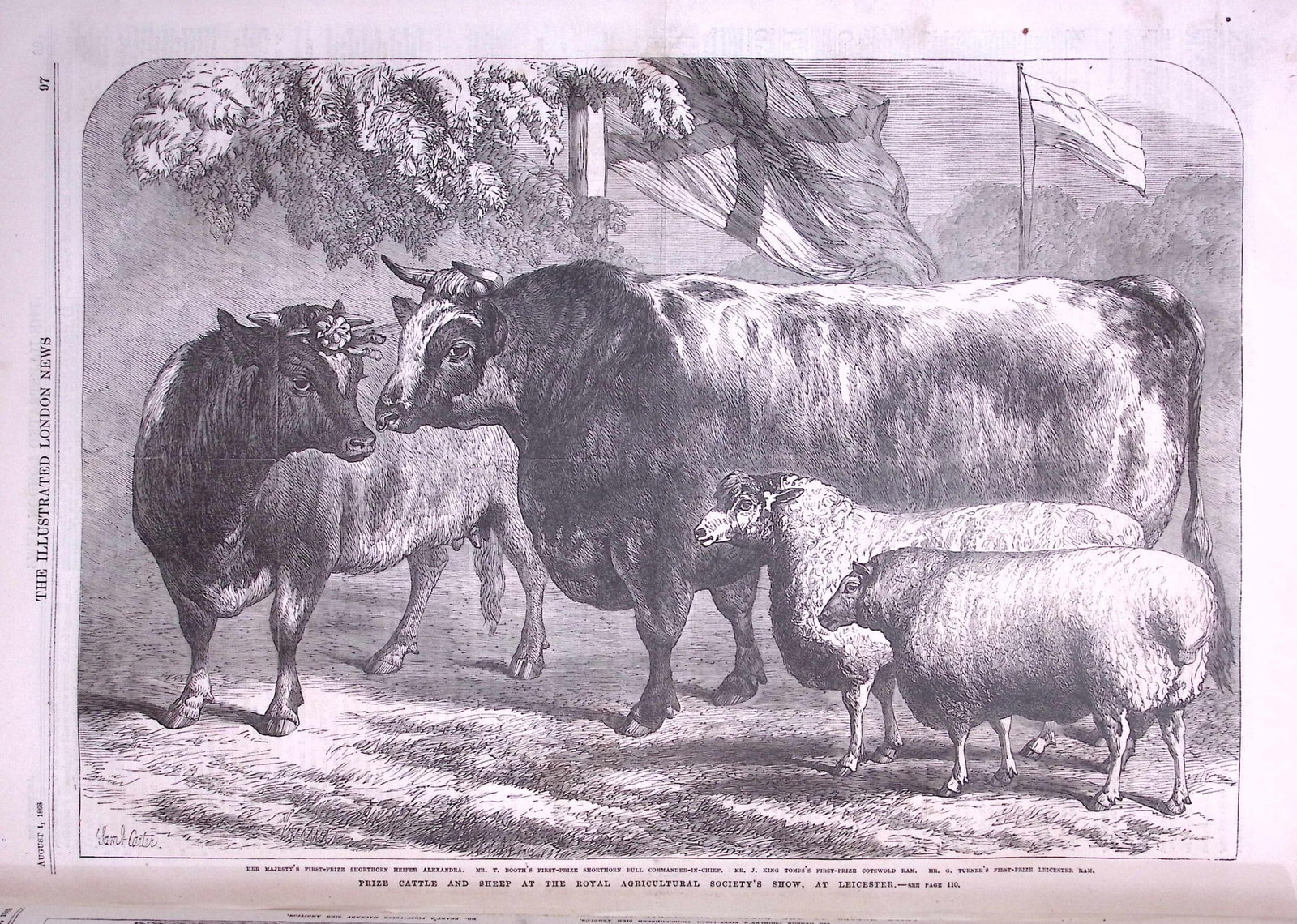 The Illustrated London News Antique Bound Edition July-Dec 1868 Over 600 Pages. - 5
