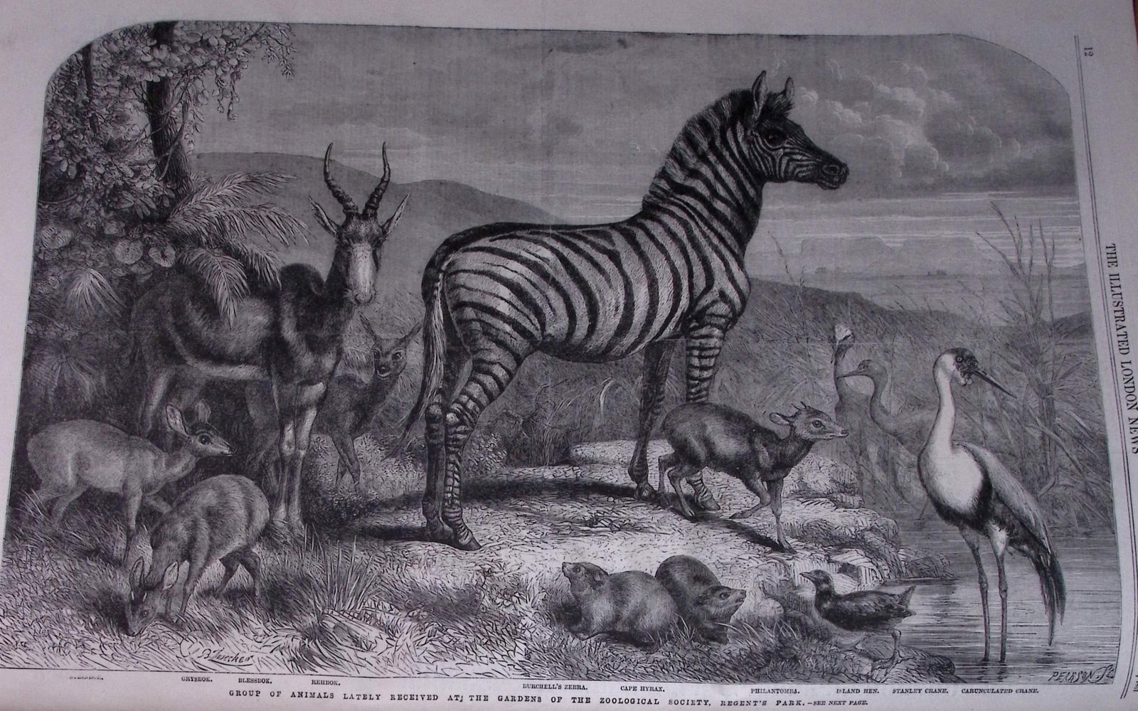 The Illustrated London News Antique Bound Edition July-Dec 1861 Over 600 Pages. - 9