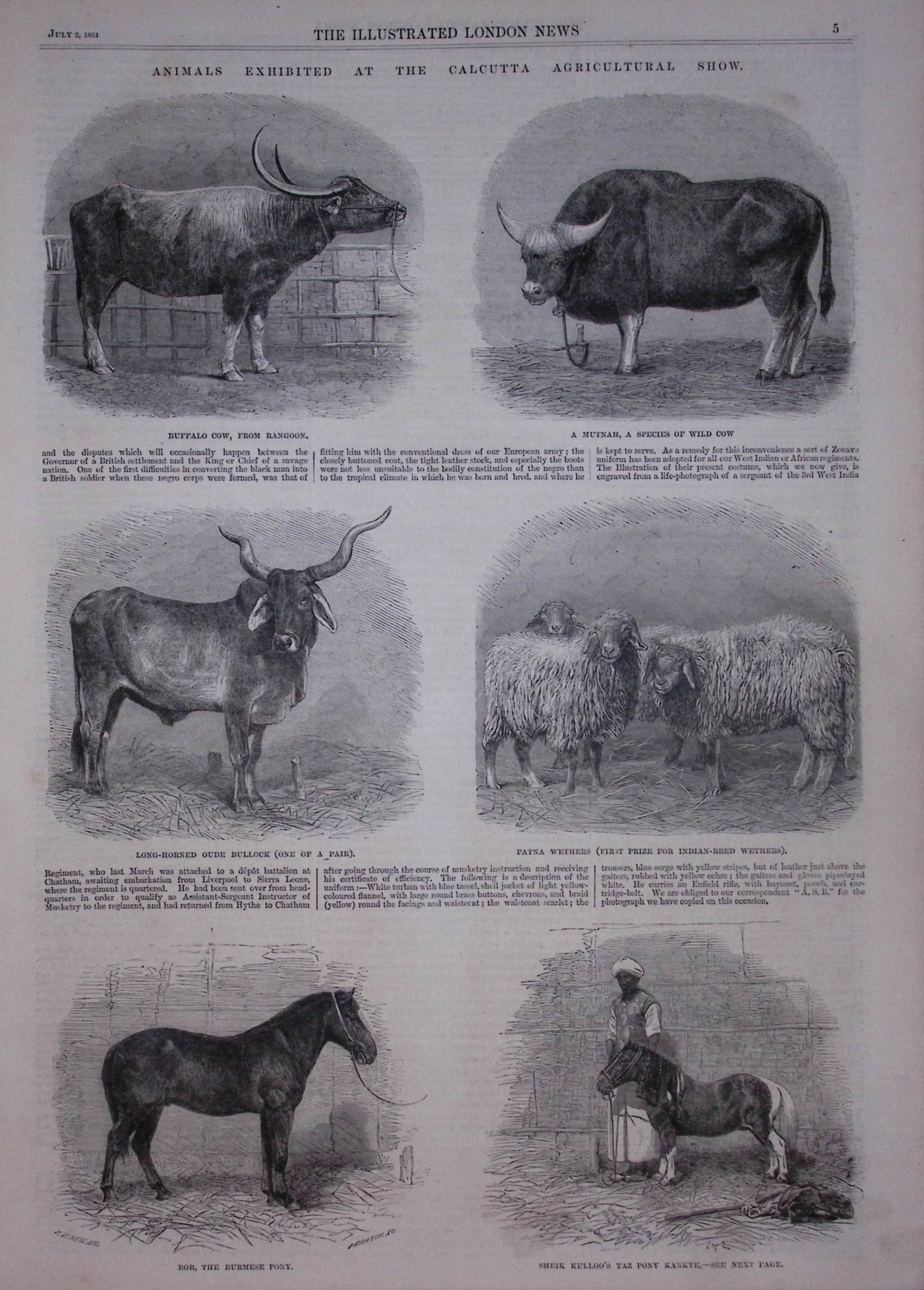 The Illustrated London News Antique Bound Edition July-Dec 1864 Over 650 Pages. - 11
