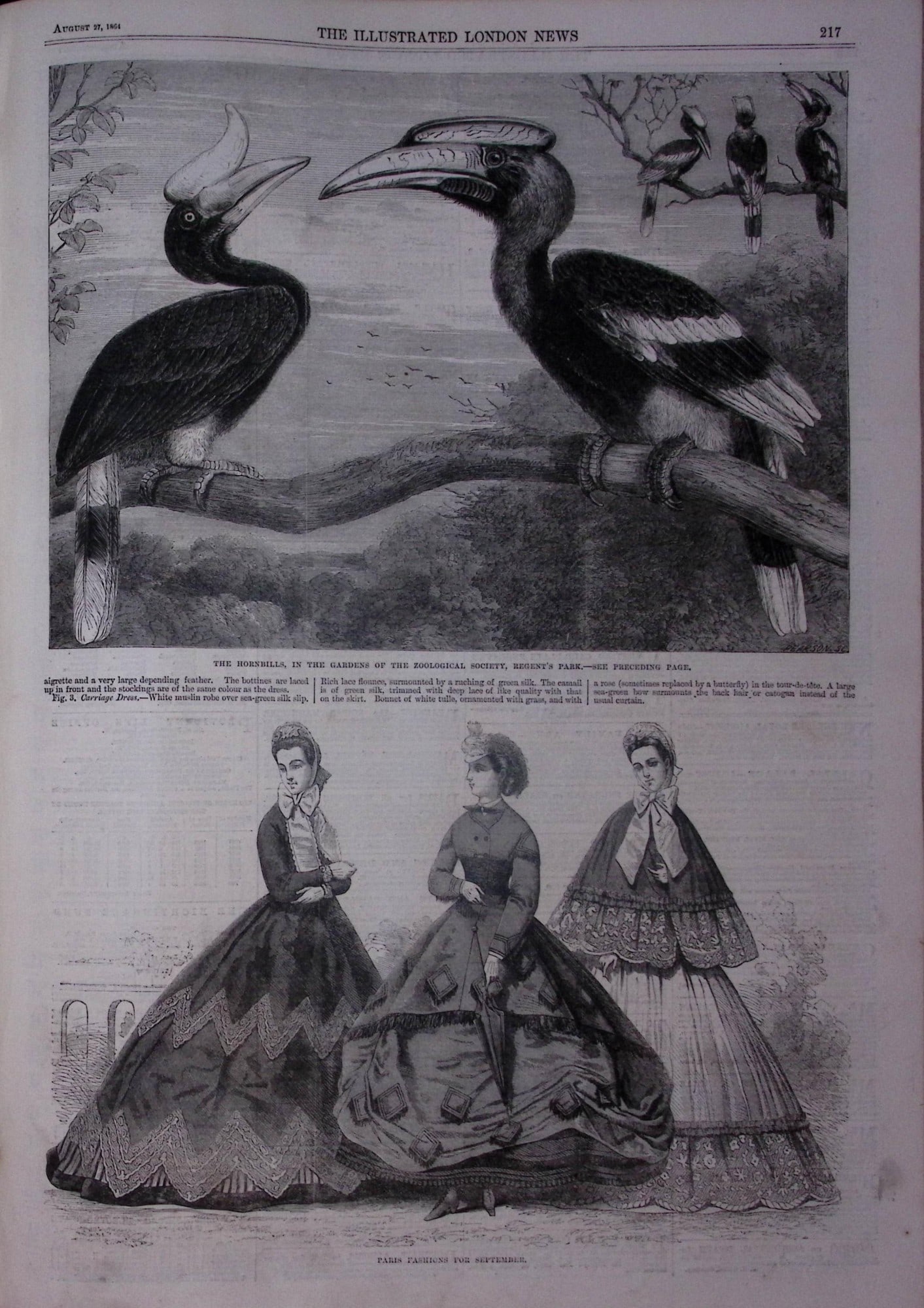 The Illustrated London News Antique Bound Edition July-Dec 1864 Over 650 Pages. - 7