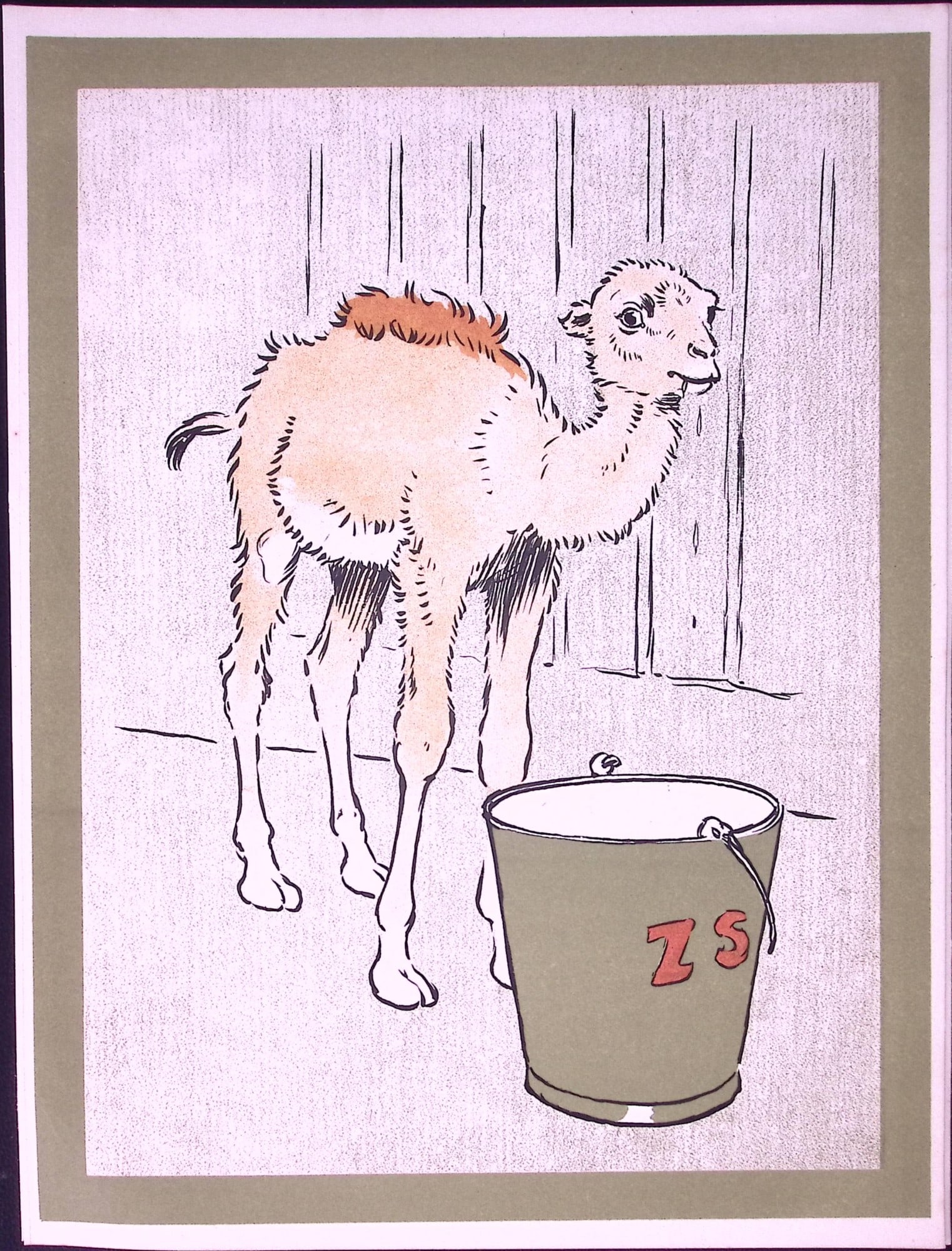 Cecil Aldin Antique Zoo Babies Scarce Illustration “The Baby Camel”-14 (1 of 2)
