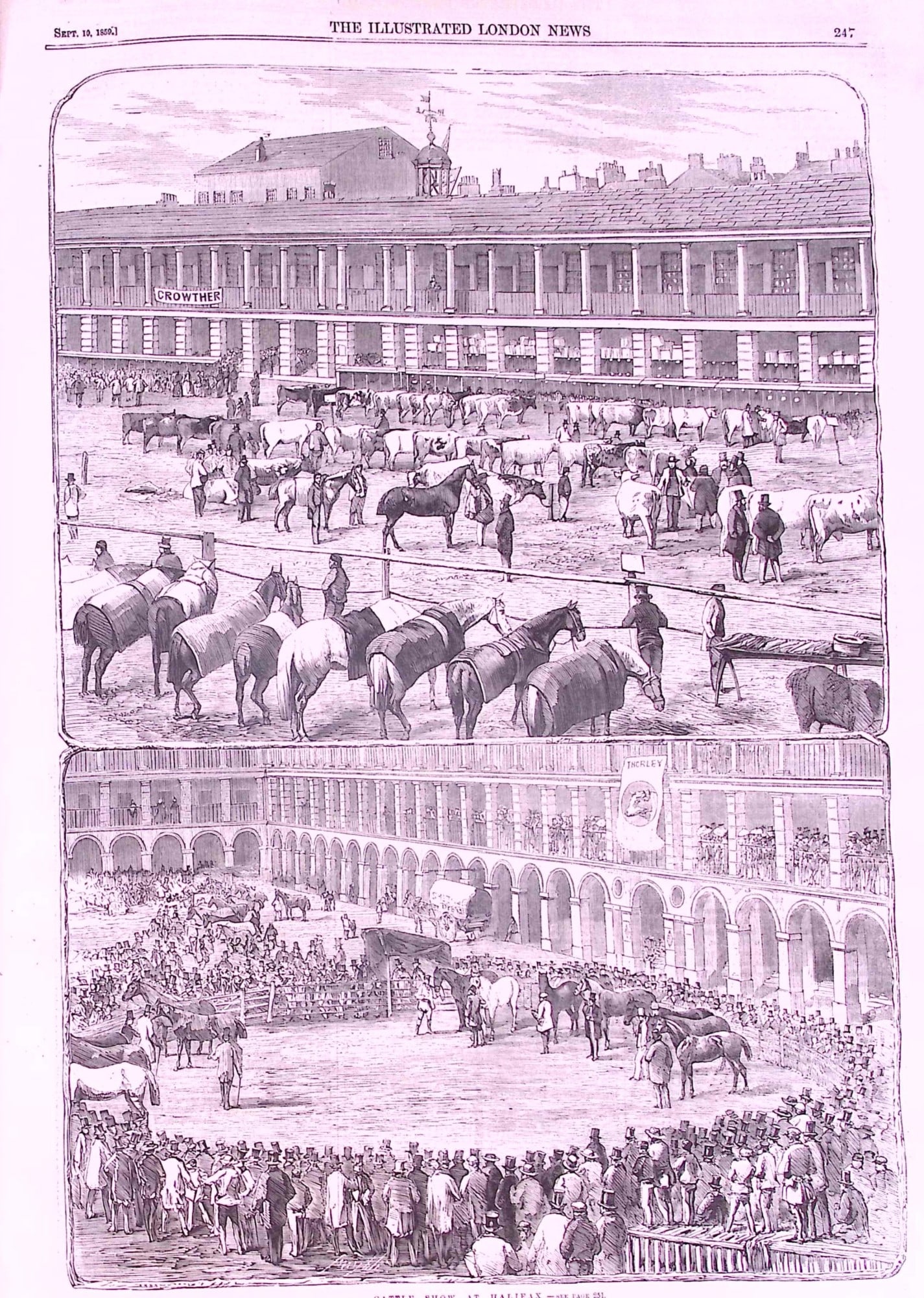 The Illustrated London News Antique Bound Edition July-Dec 1859 Over 600 Pages. - 12