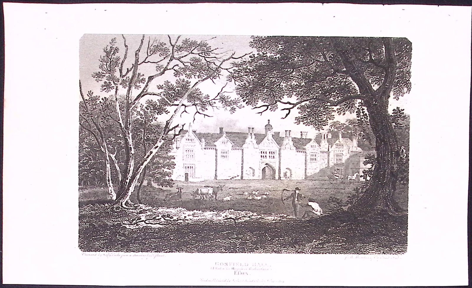 Essex Gosford Hall Antique 222 Years-Old Steel-Engraving-163: Title: Essex Gosford Hall Antique 222 Years-Old Steel-Engraving-163 Description: This Essex Georgian Antique Print Was Removed from a First Edition of. The Beauties of England and Wales Antique 24