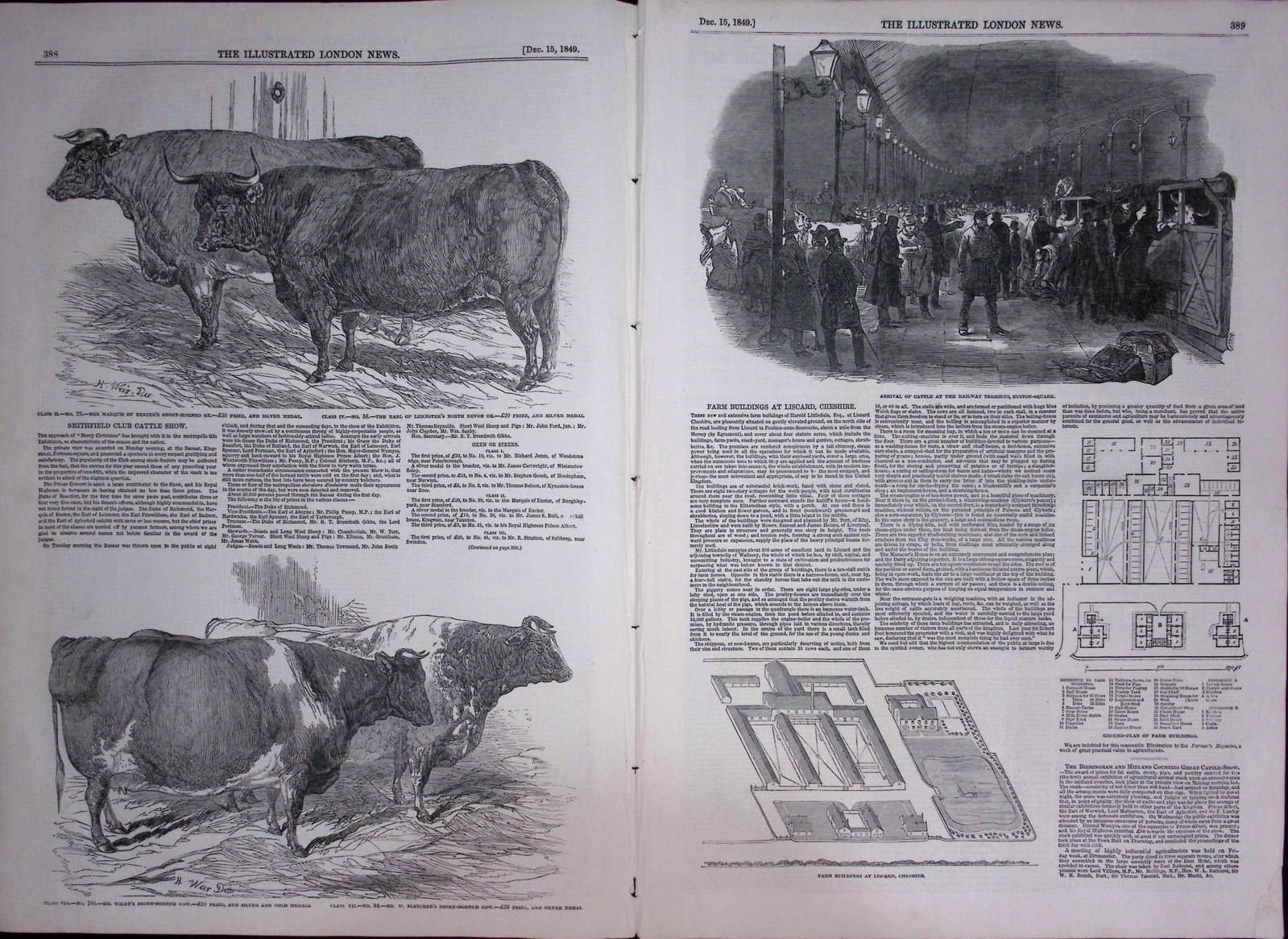 The Irish Famine Sketches & News Original Scarce Antique 177-Year-Old Newspaper-2 - 3